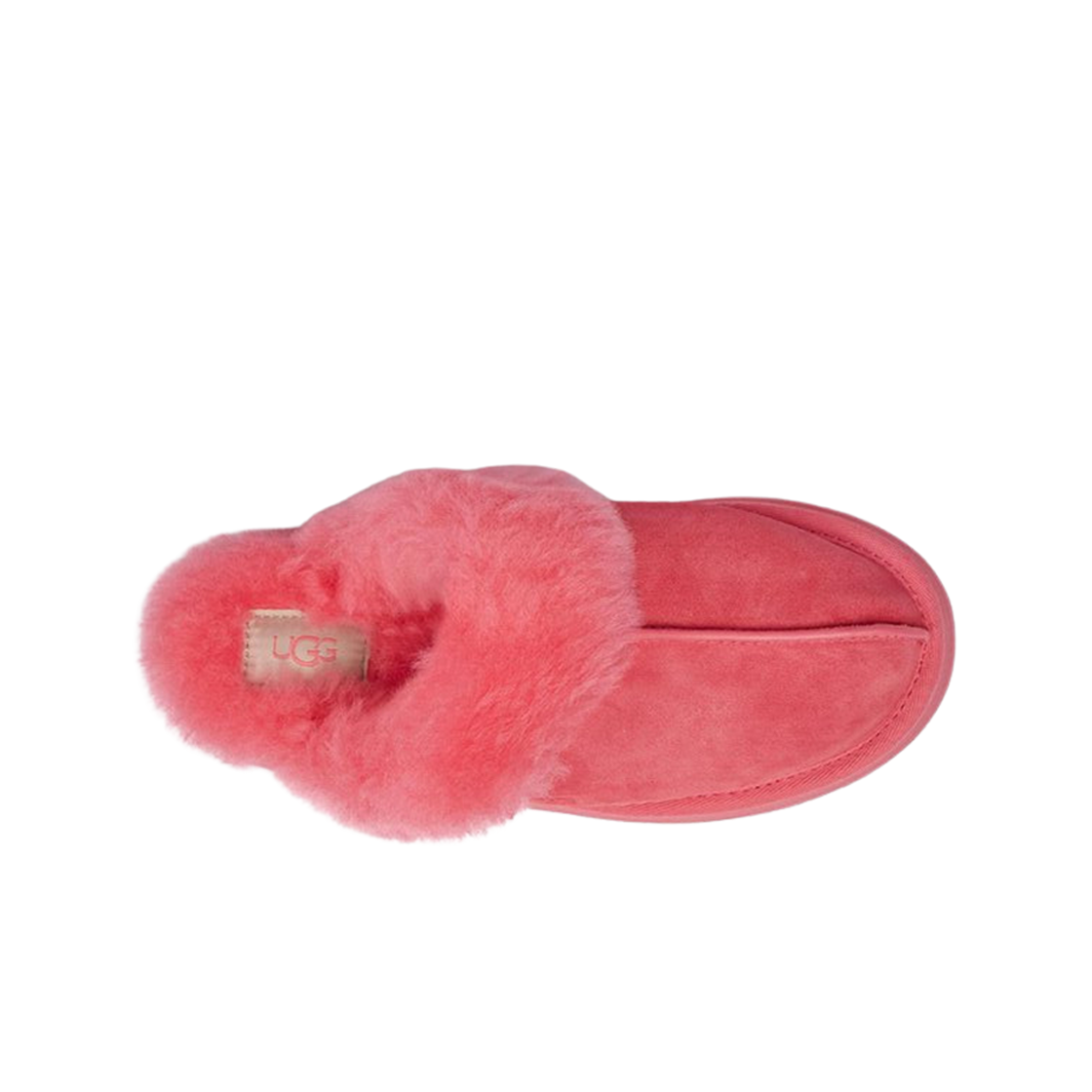 (W) 어그 디스케트 슬리퍼 핑크 글로우((W) UGG Disquette Slipper Pink Glow) - 2