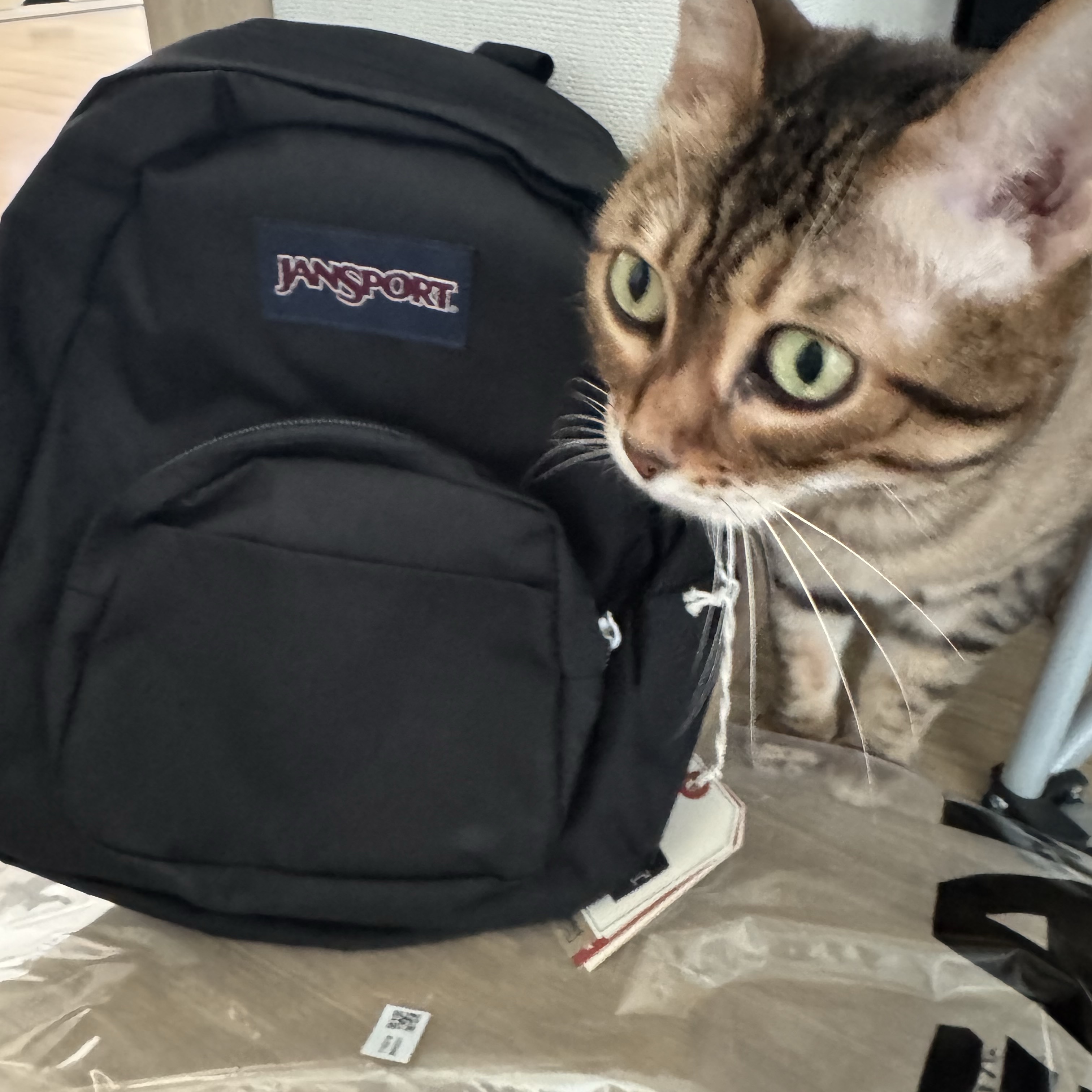 Jansport Half Pint Mini Backpack Black 착용 스타일