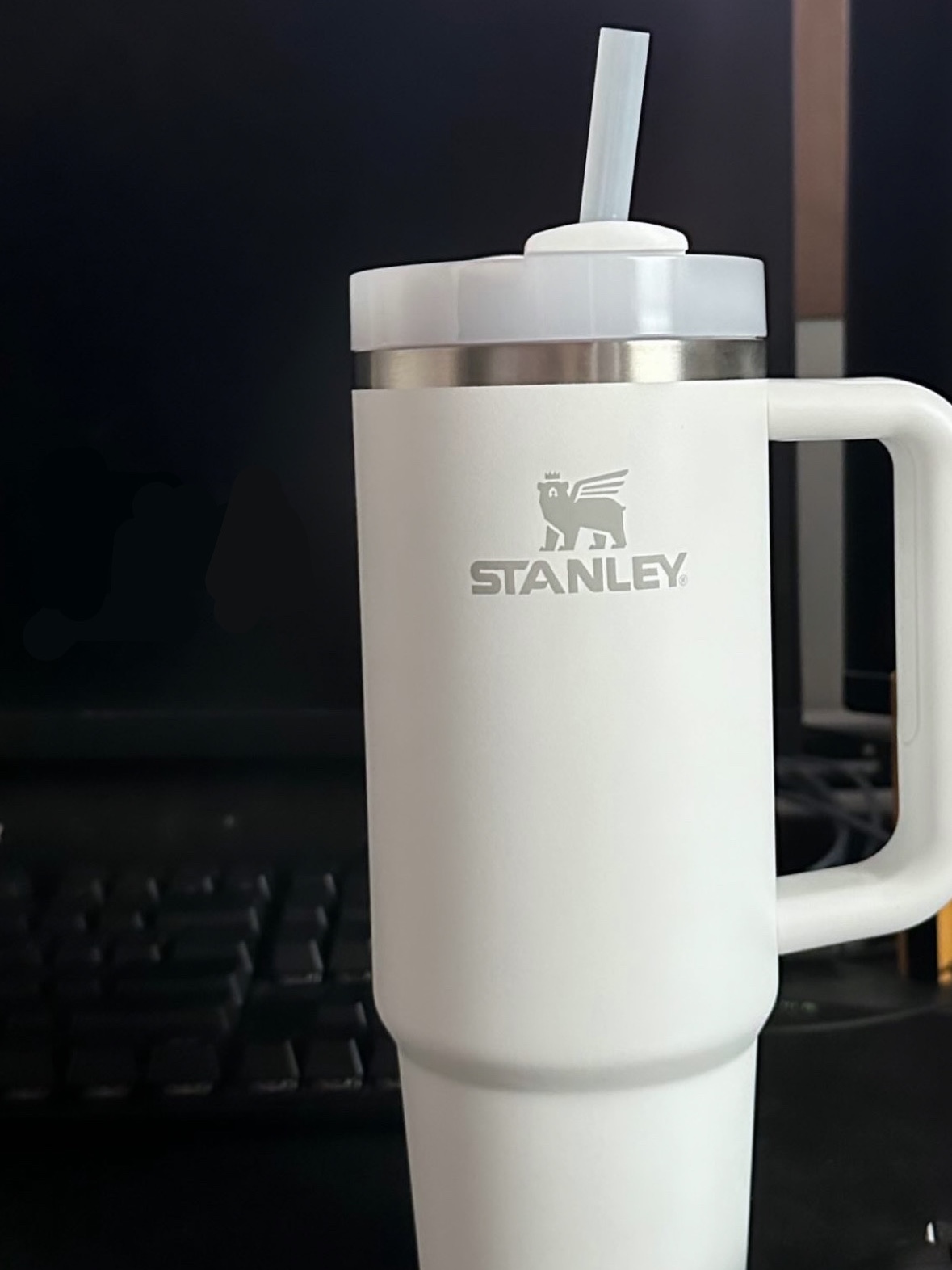 Stanley The Quencher H2.0 Flowstate Tumbler 887ml Frost 착용 스타일