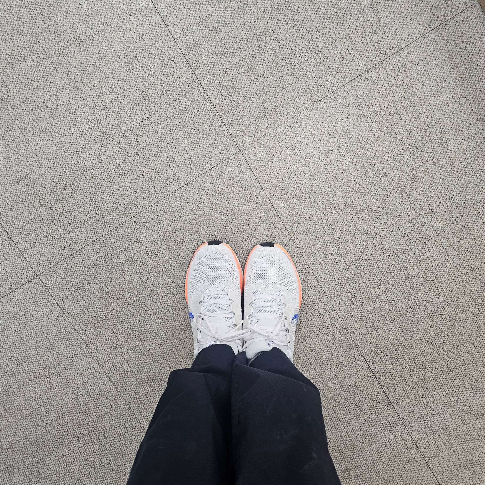 Nike Air Zoom Pegasus 41 Blueprint 착용 스타일