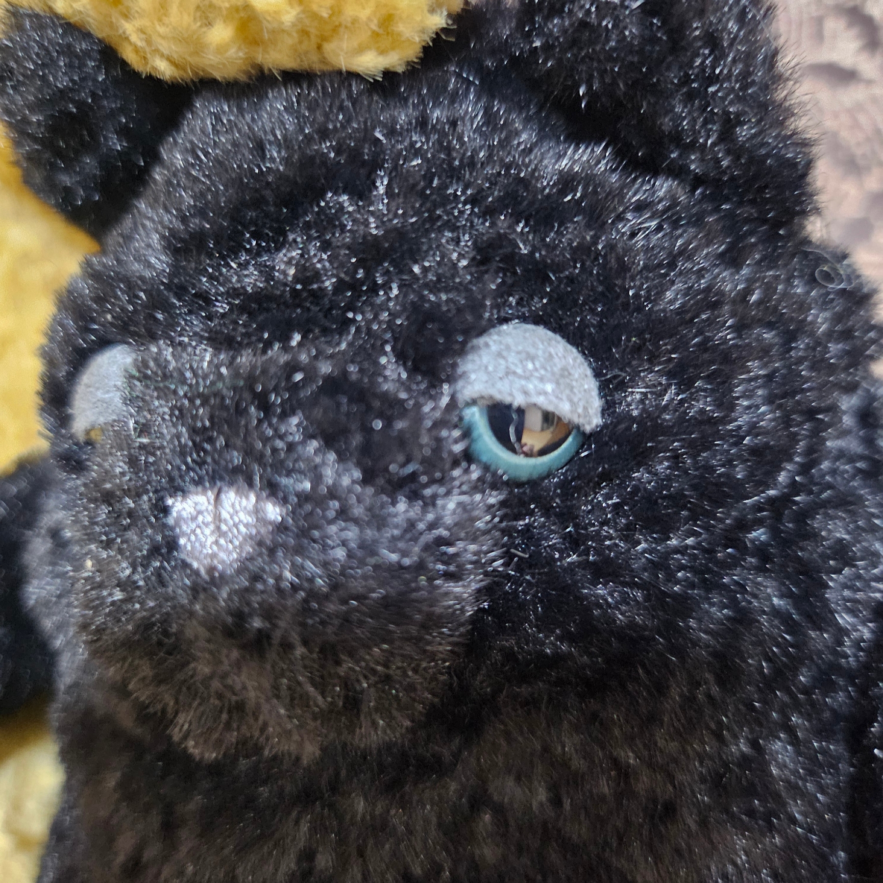 Jellycat Amore Cat Small Black 착용 스타일