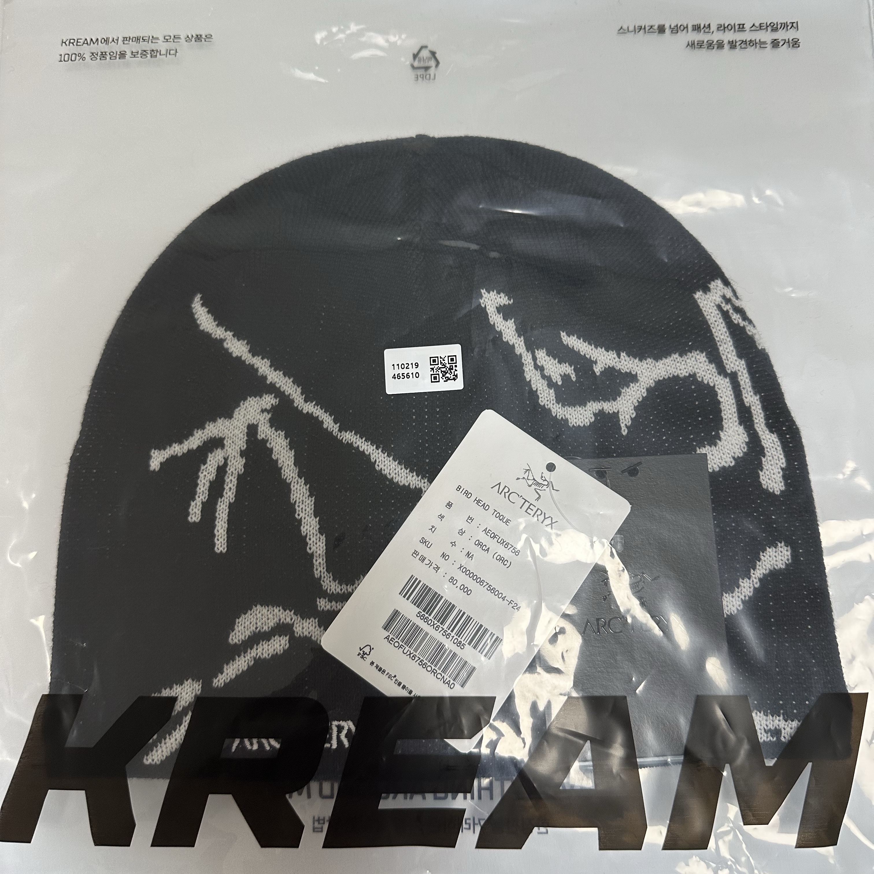 Arc'teryx Bird Head Toque Orca 착용 스타일