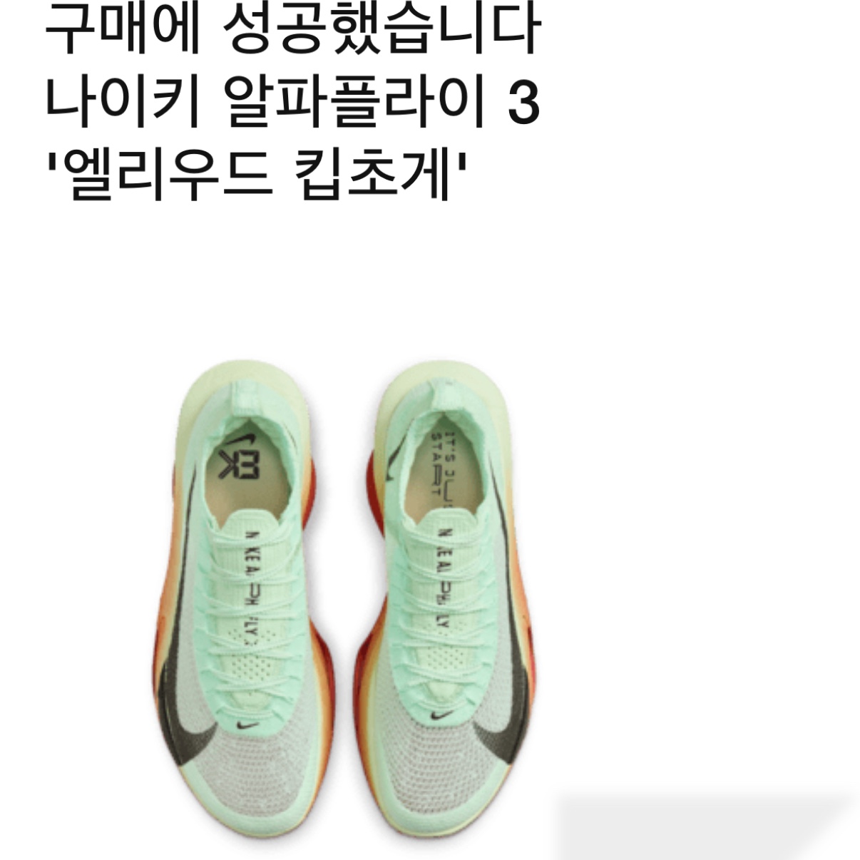 Nike Air Zoom Alphafly Next% 3 Eliud Kipchoge 착용 스타일