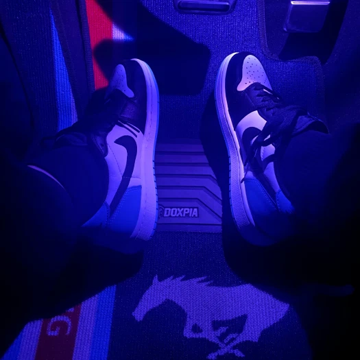 스타일 카드