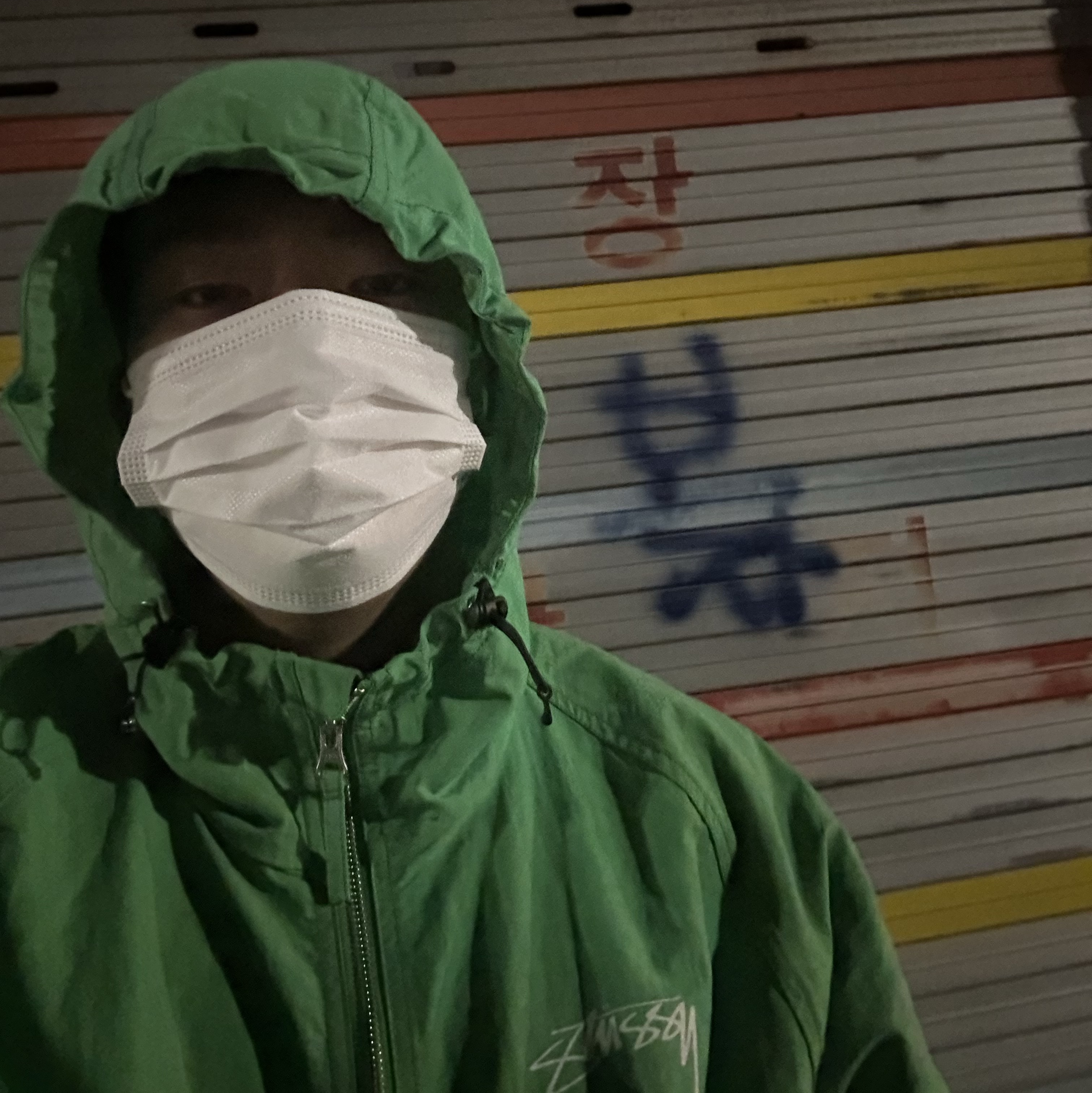 Stussy Wave Dye Beach Shell Jacket Pine 착용 스타일