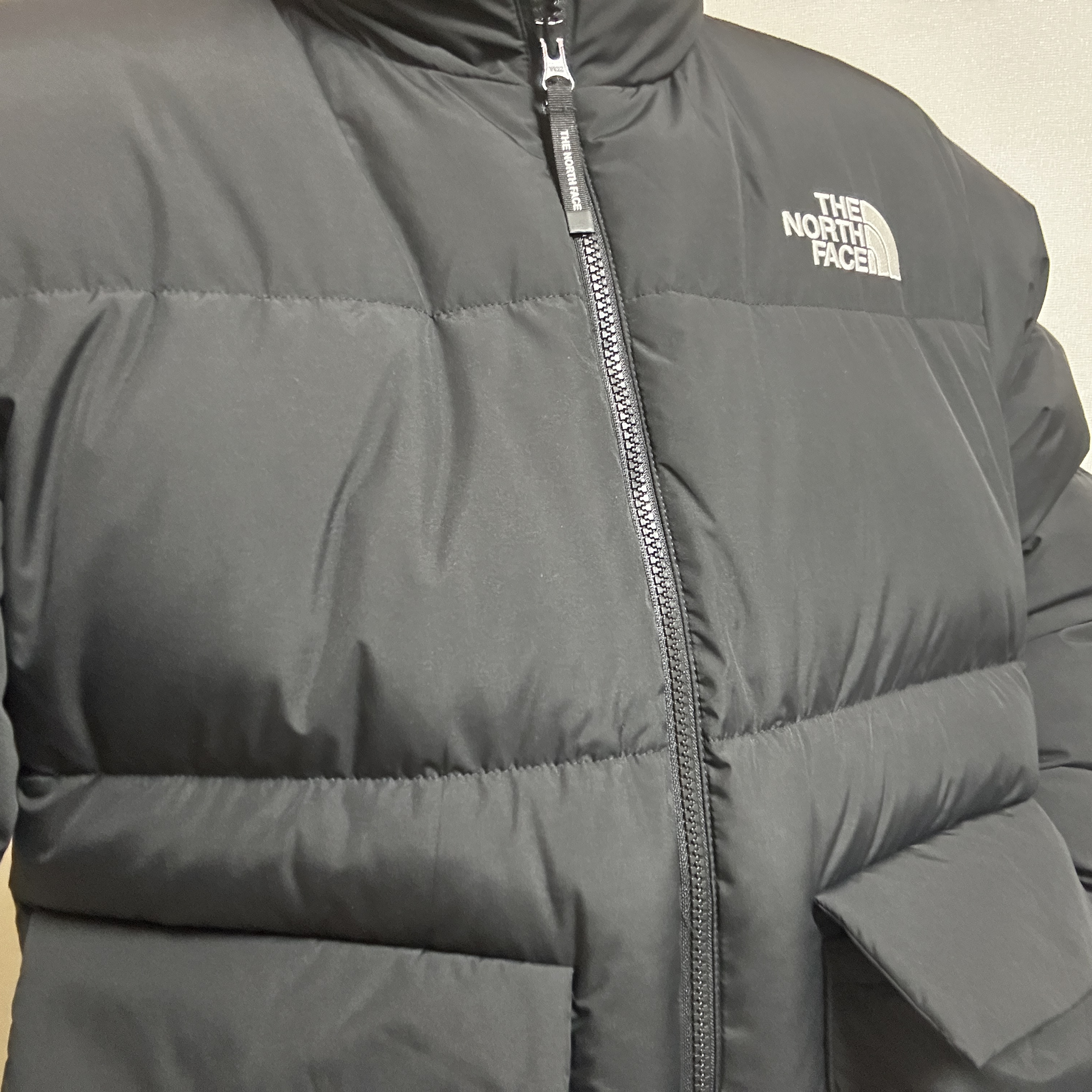 The North Face Youtro EX RDS Down Jacket Black - 24FW 착용 스타일
