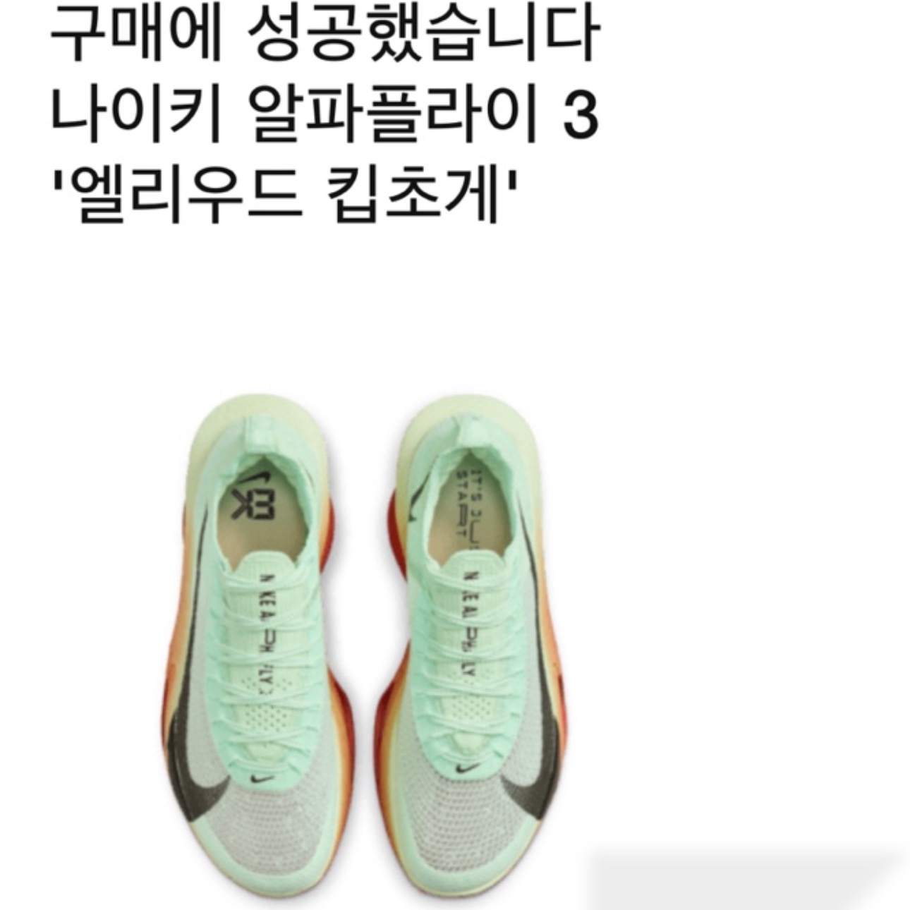 Nike Air Zoom Alphafly Next% 3 Eliud Kipchoge 착용 스타일