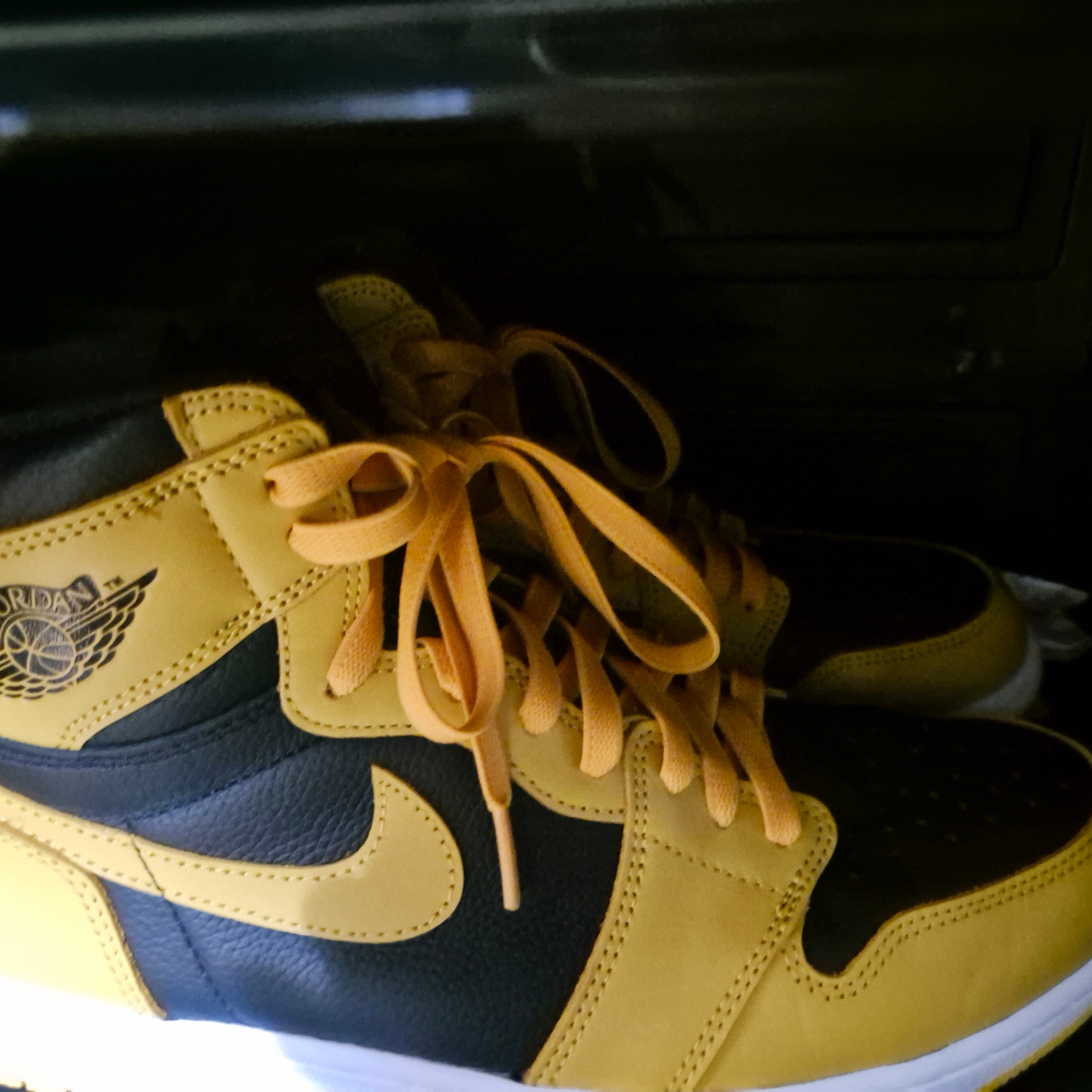 Jordan 1 Retro High OG Pollen 착용 스타일