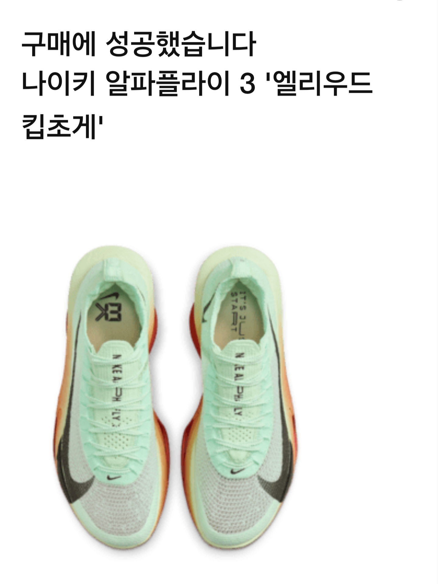 Nike Air Zoom Alphafly Next% 3 Eliud Kipchoge 착용 스타일