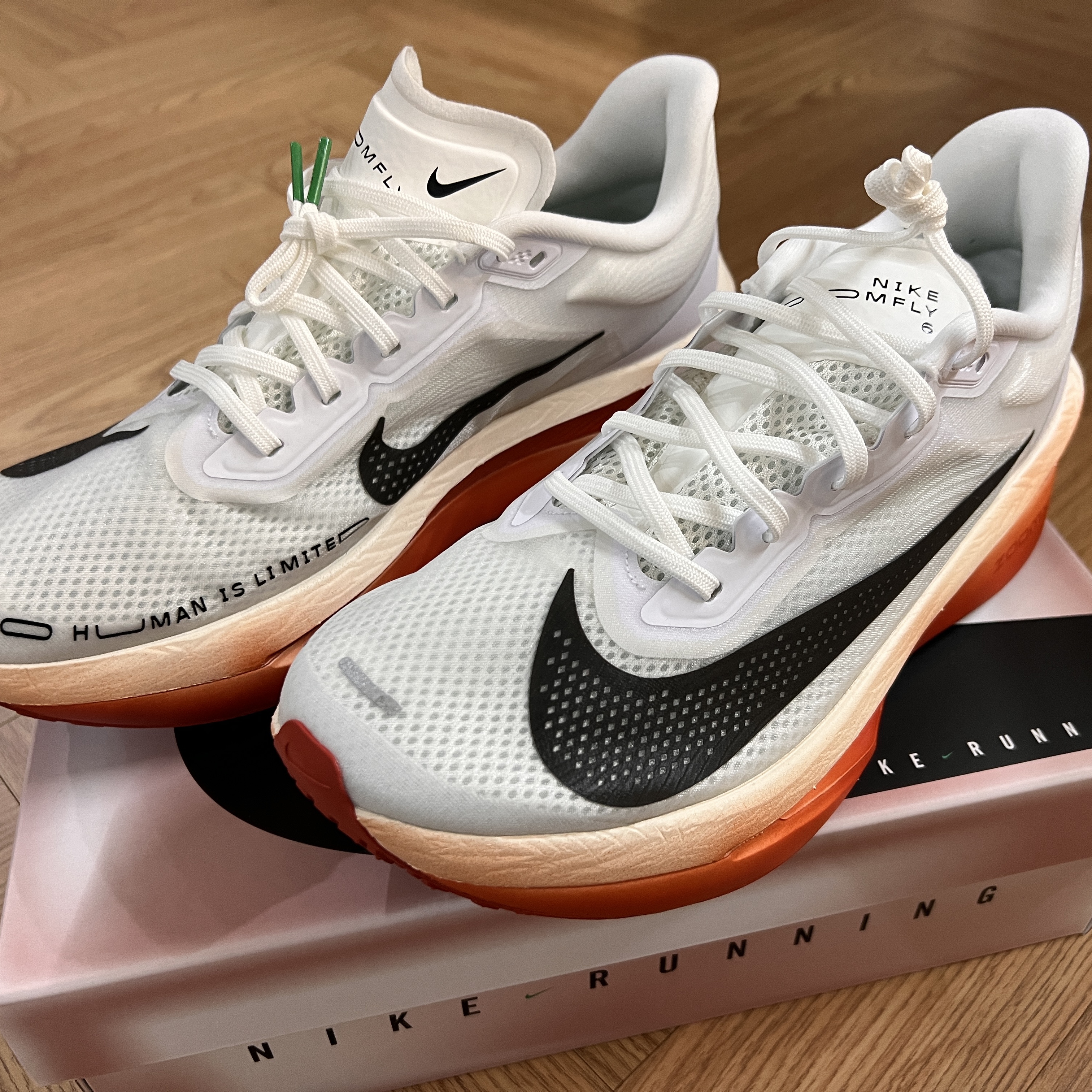 Nike Zoom Fly 6 Eliud Kipchoge, Nike Air Zoom Alphafly Next% 3 Volt 착용 스타일 - 1