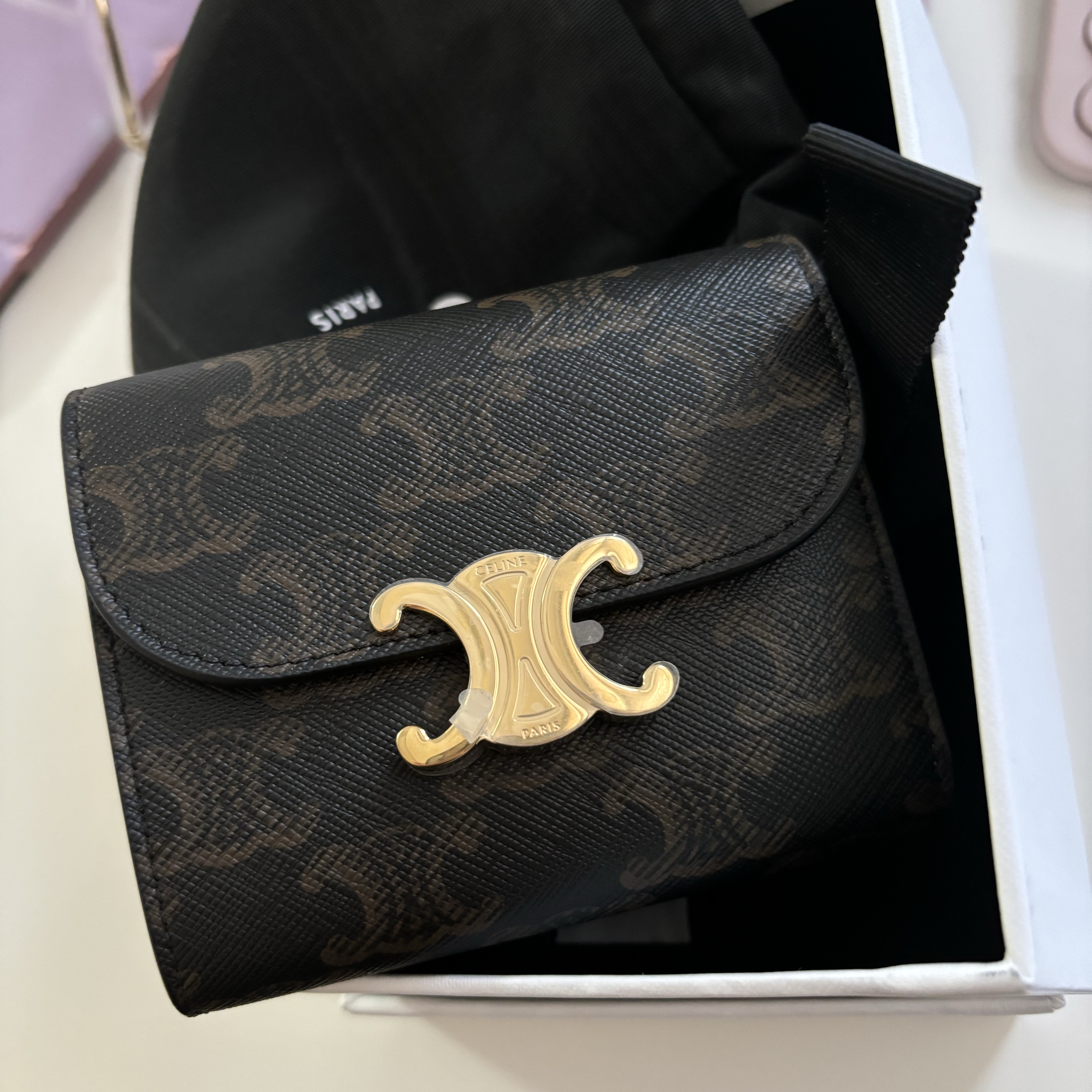 Celine Small Wallet Triomphe in Triomphe Canvas Tan 착용 스타일