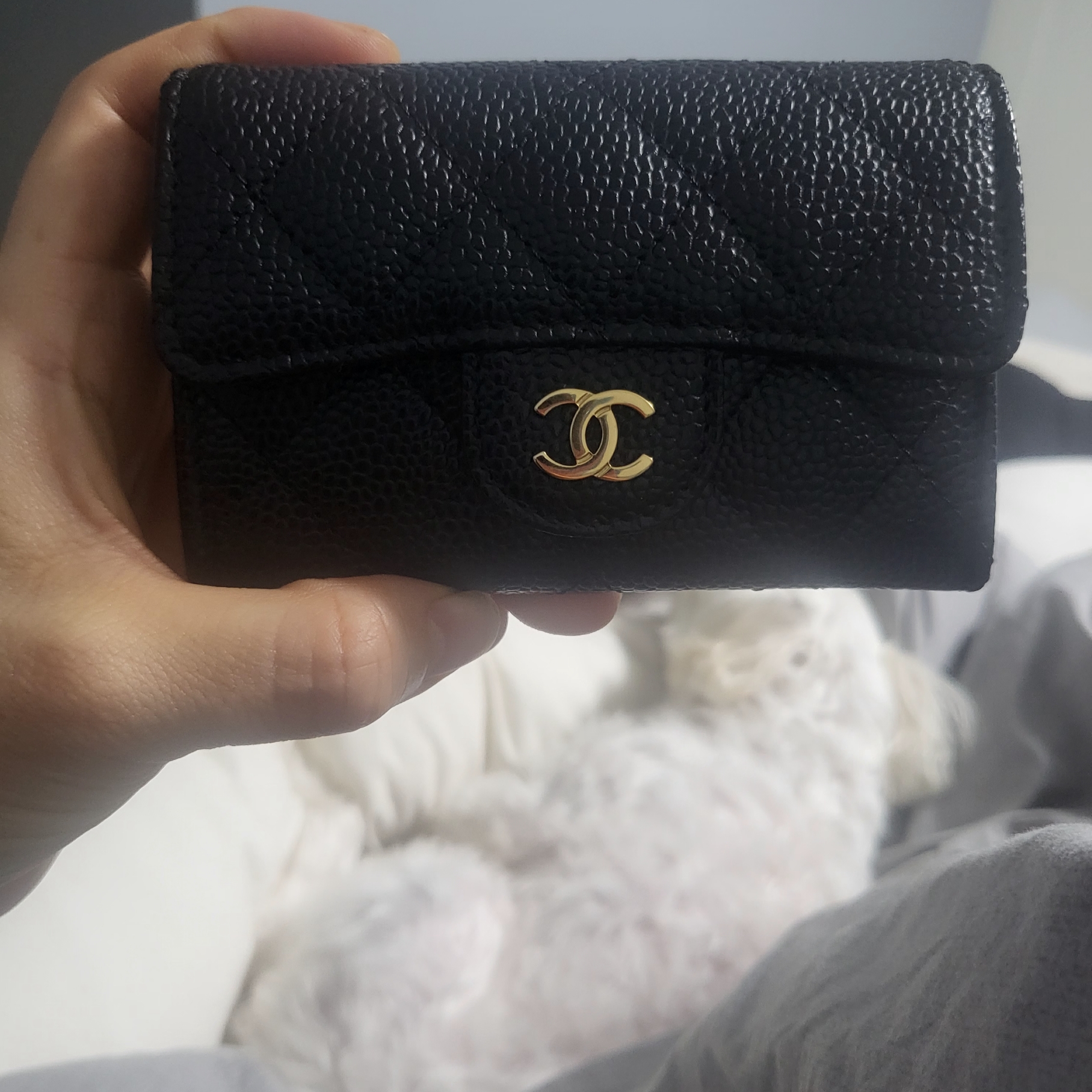 Chanel Classic Card Holder Grained Calfskin & Gold Black 착용 스타일