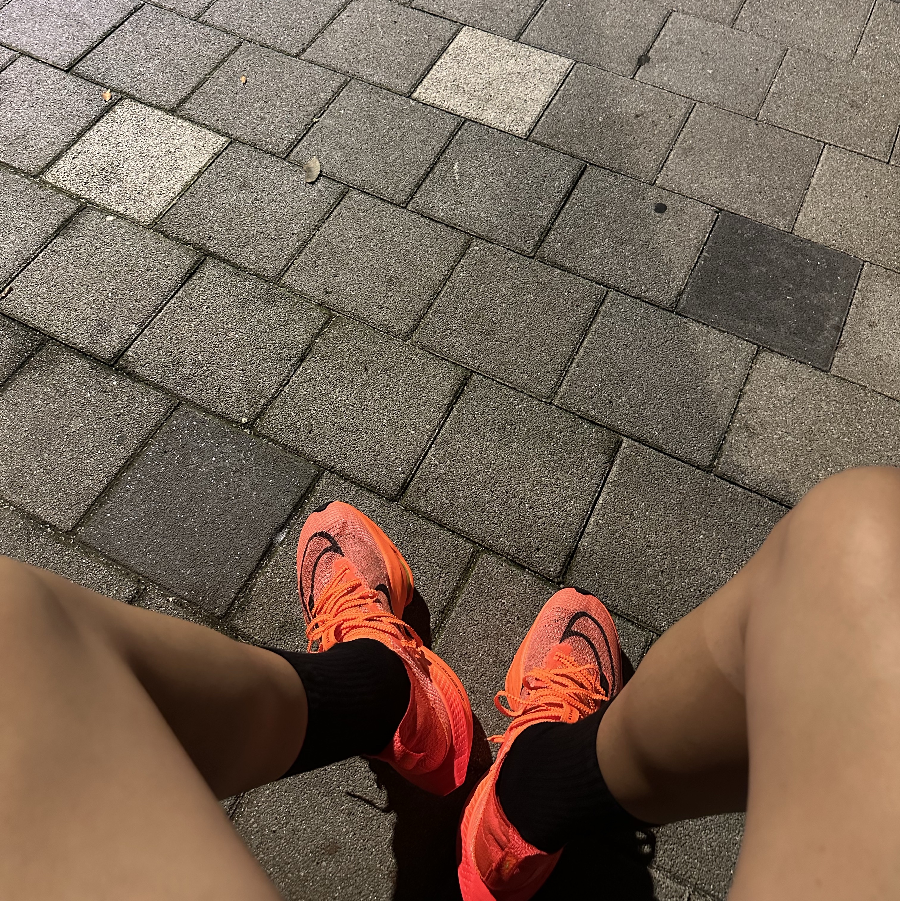 Nike Air Zoom Alphafly Next% 2 Total Orange 착용 스타일