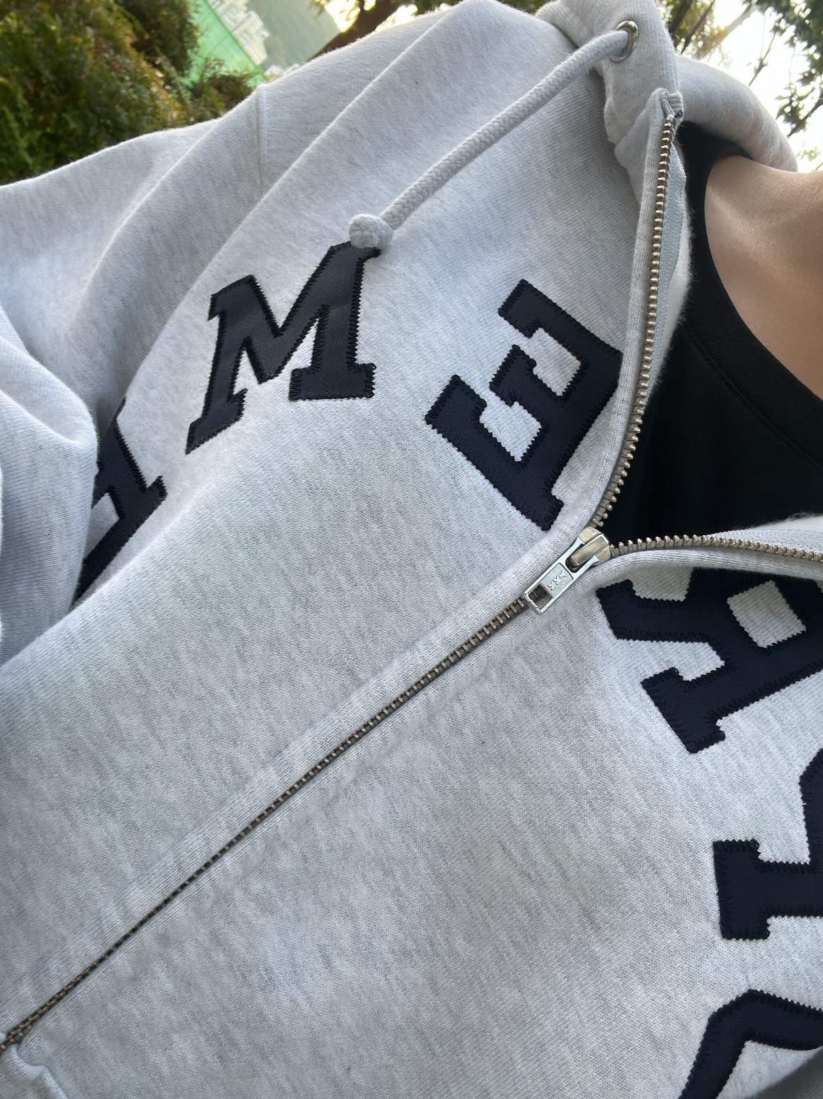 Supreme x Champion Zip Up Hooded Sweatshirt Ash Grey - 24SS 착용 스타일