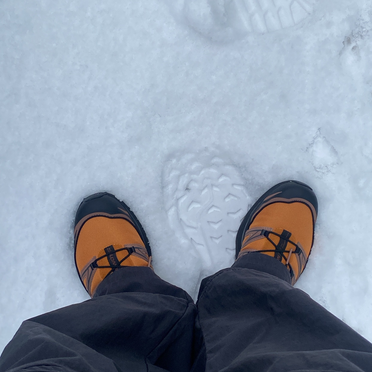 Salomon XT-6 Expanse 75th Anniversary Golden Oak Acorn 착용 스타일 - 2