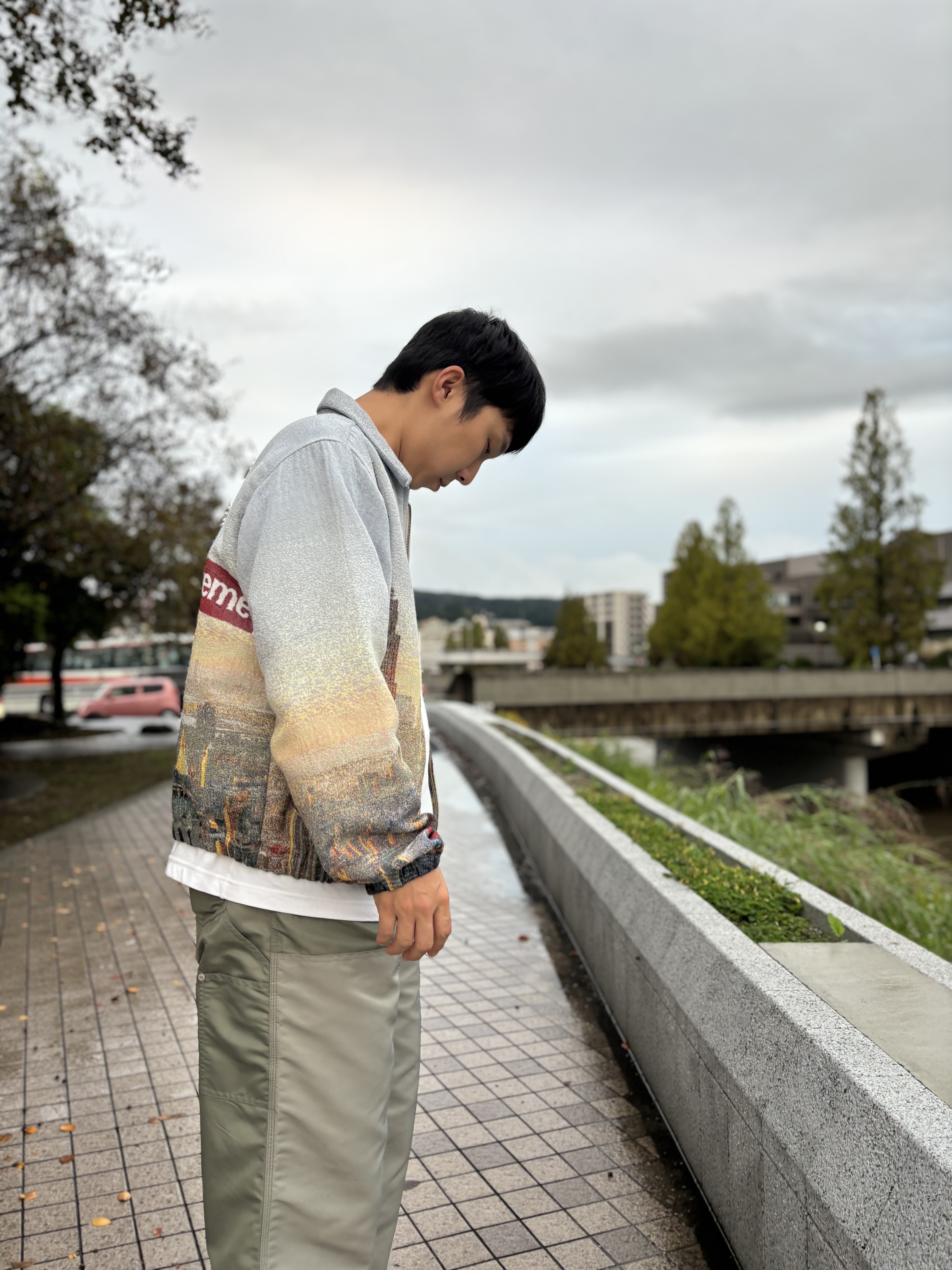 Palace Rodeo Nylon Trouser The Deep Green - 24SS, Supreme Aerial Tapestry Harrington Jacket - 20FW 착용 스타일 - 1