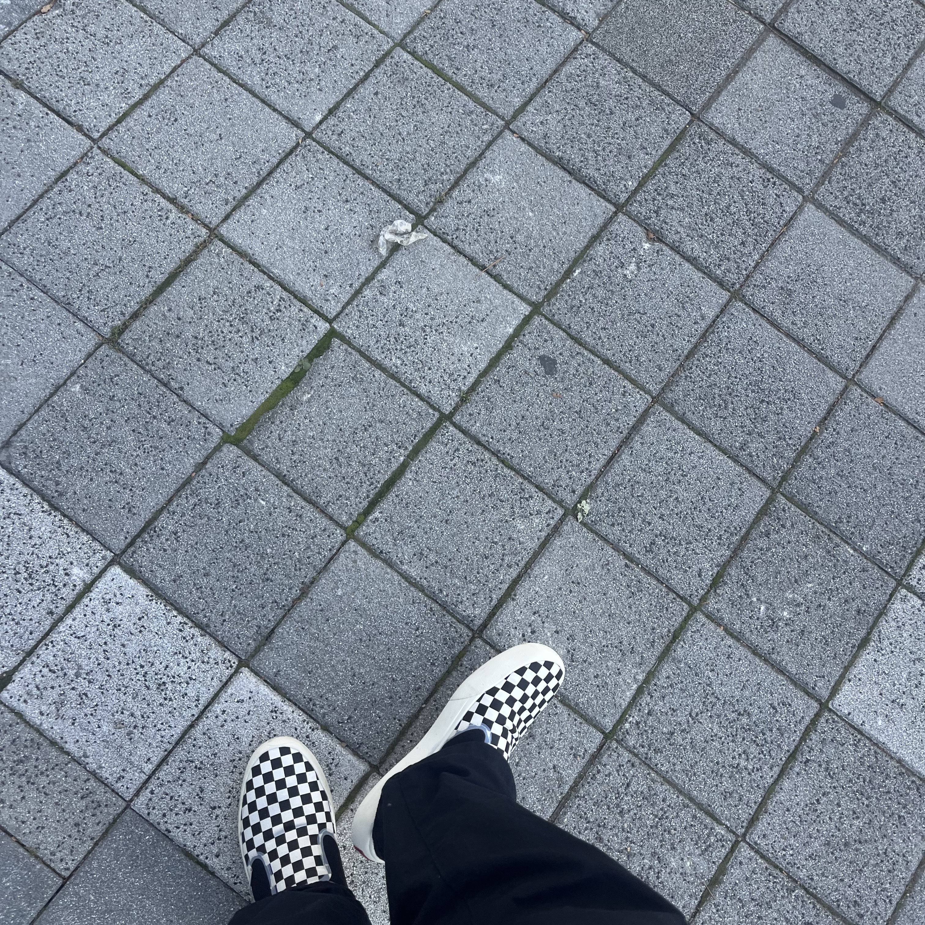 Vans Checkerboard Comfycush One Black 착용 스타일
