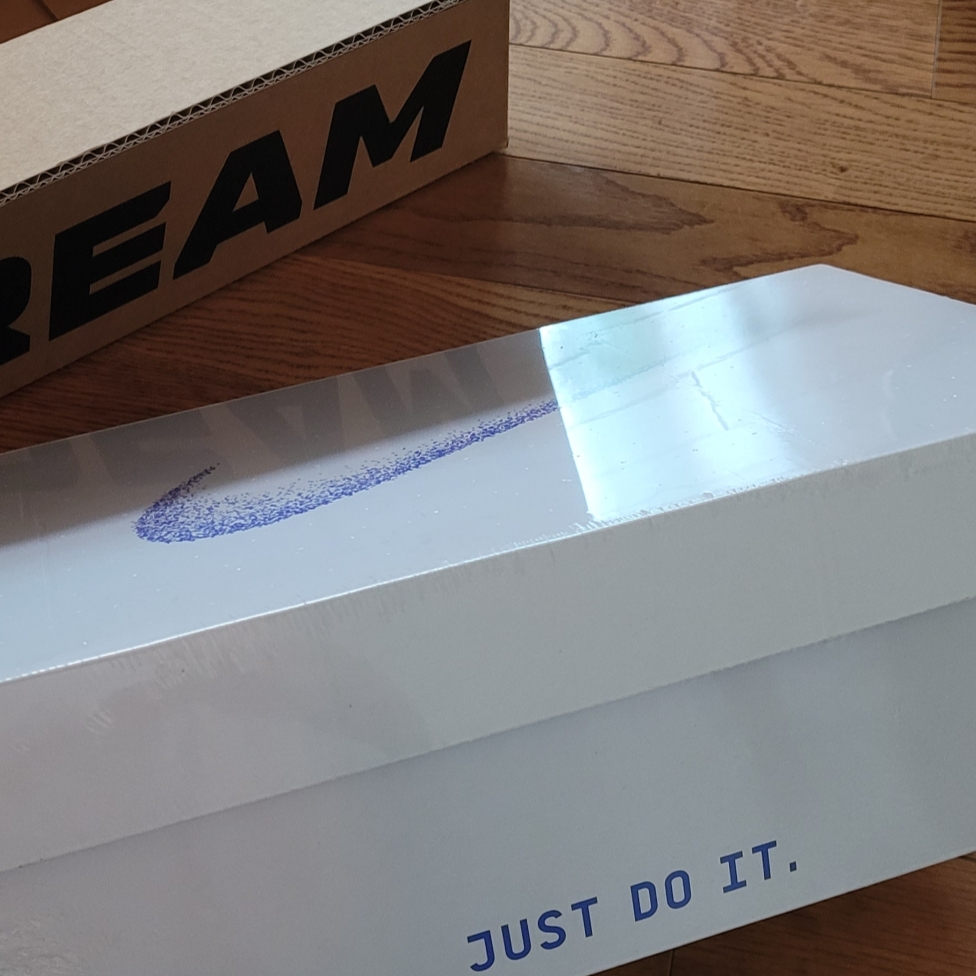 Nike Air Zoom Pegasus EasyOn Blueprint 착용 스타일 - 3