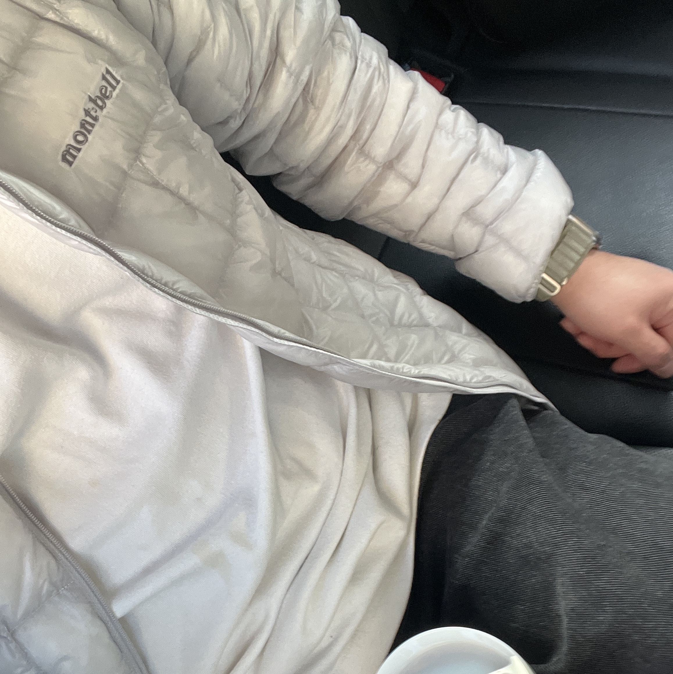 Montbell US Plasma 1000 Down Jacket Light Silver 착용 스타일