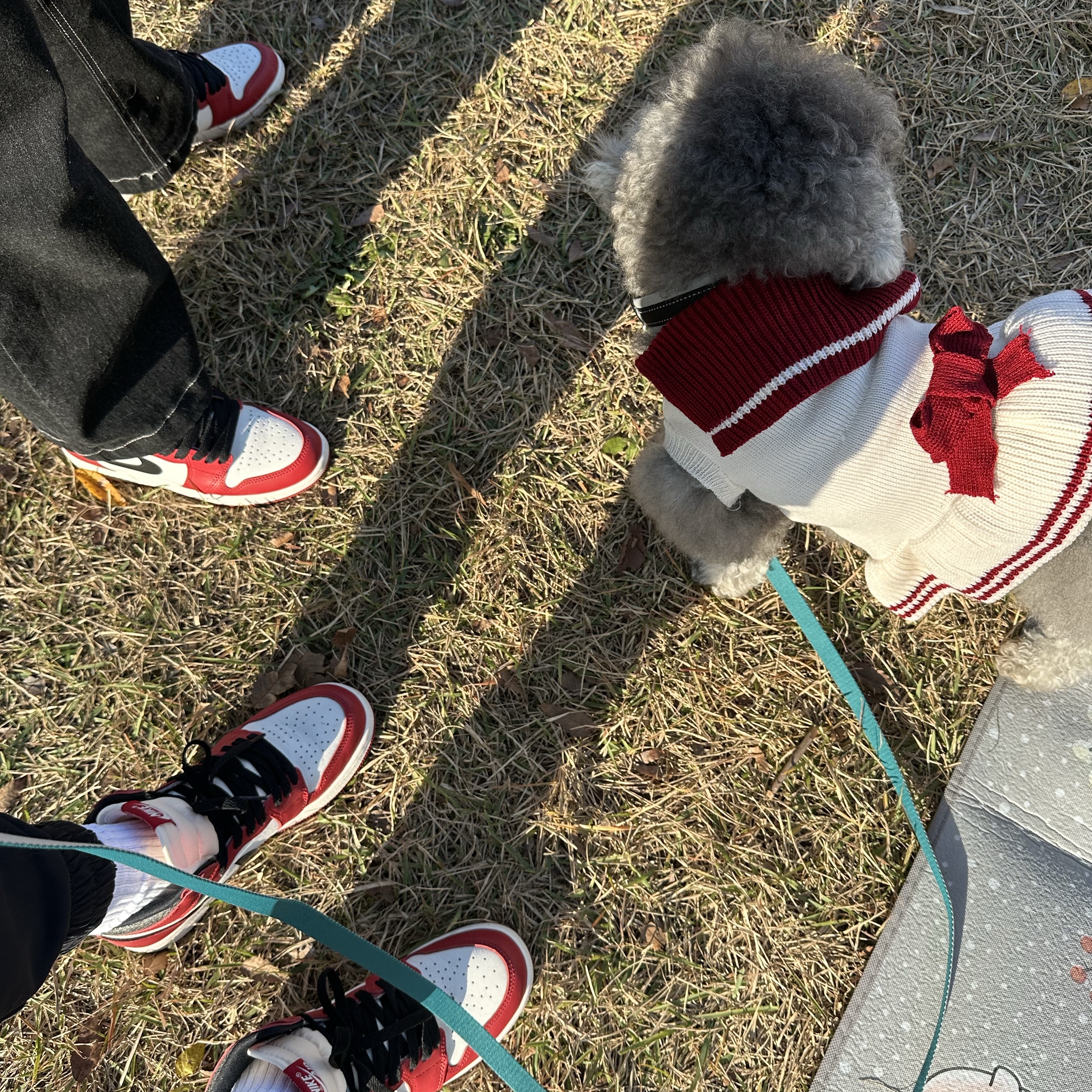 (GS) Jordan 1 Retro High OG Chicago 2022 착용 스타일