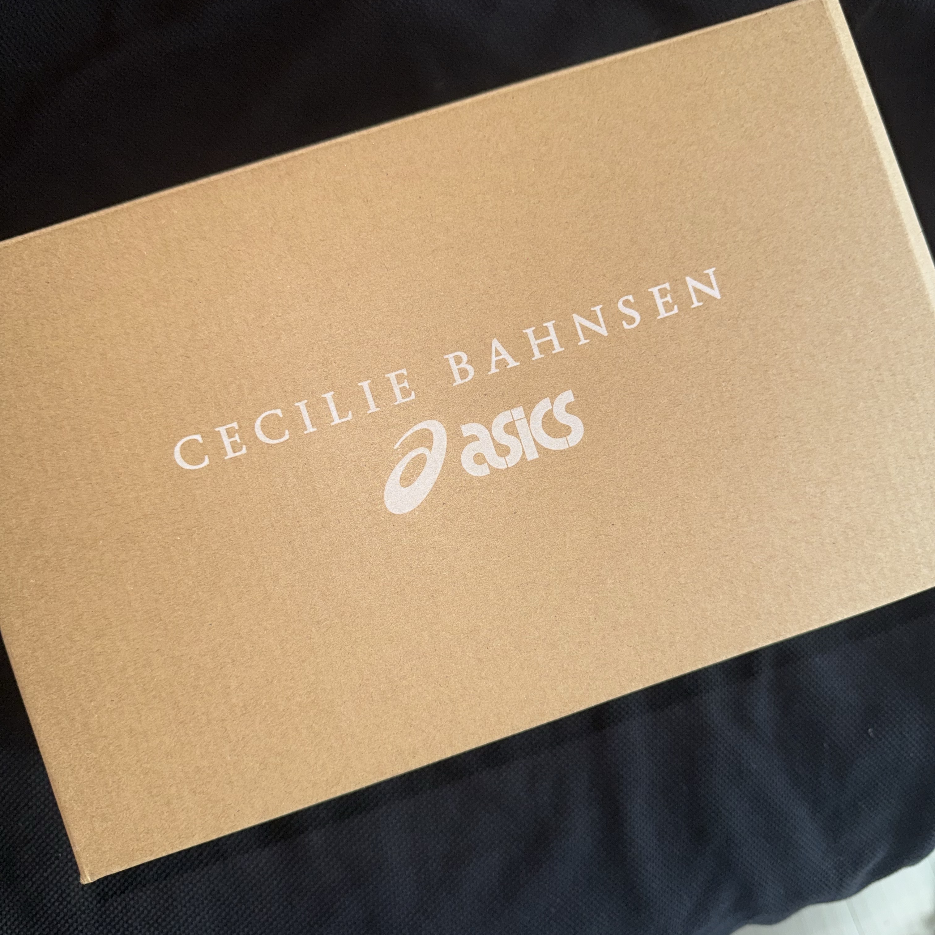 Asics x Cecilie Bahnsen Gel-Terrain Black 착용 스타일 - 1