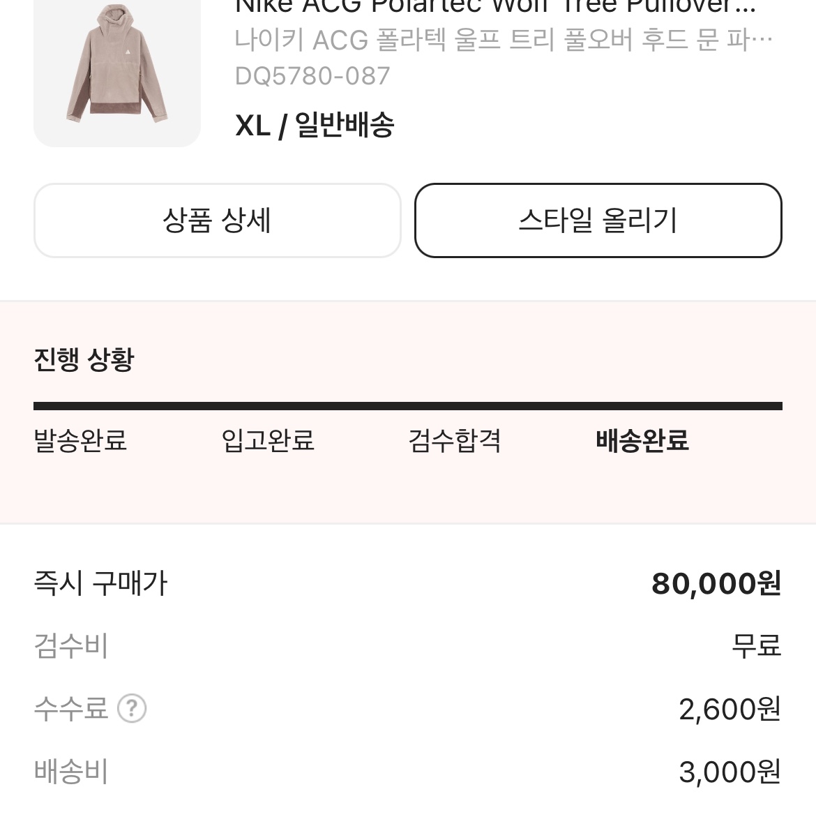 Nike ACG Polartec Wolf Tree Pullover Hoodie Moon Fossil - Asia, Nike ACG Smith Summit Cargo Pants Khaki Iron Ore - US/EU 착용 스타일