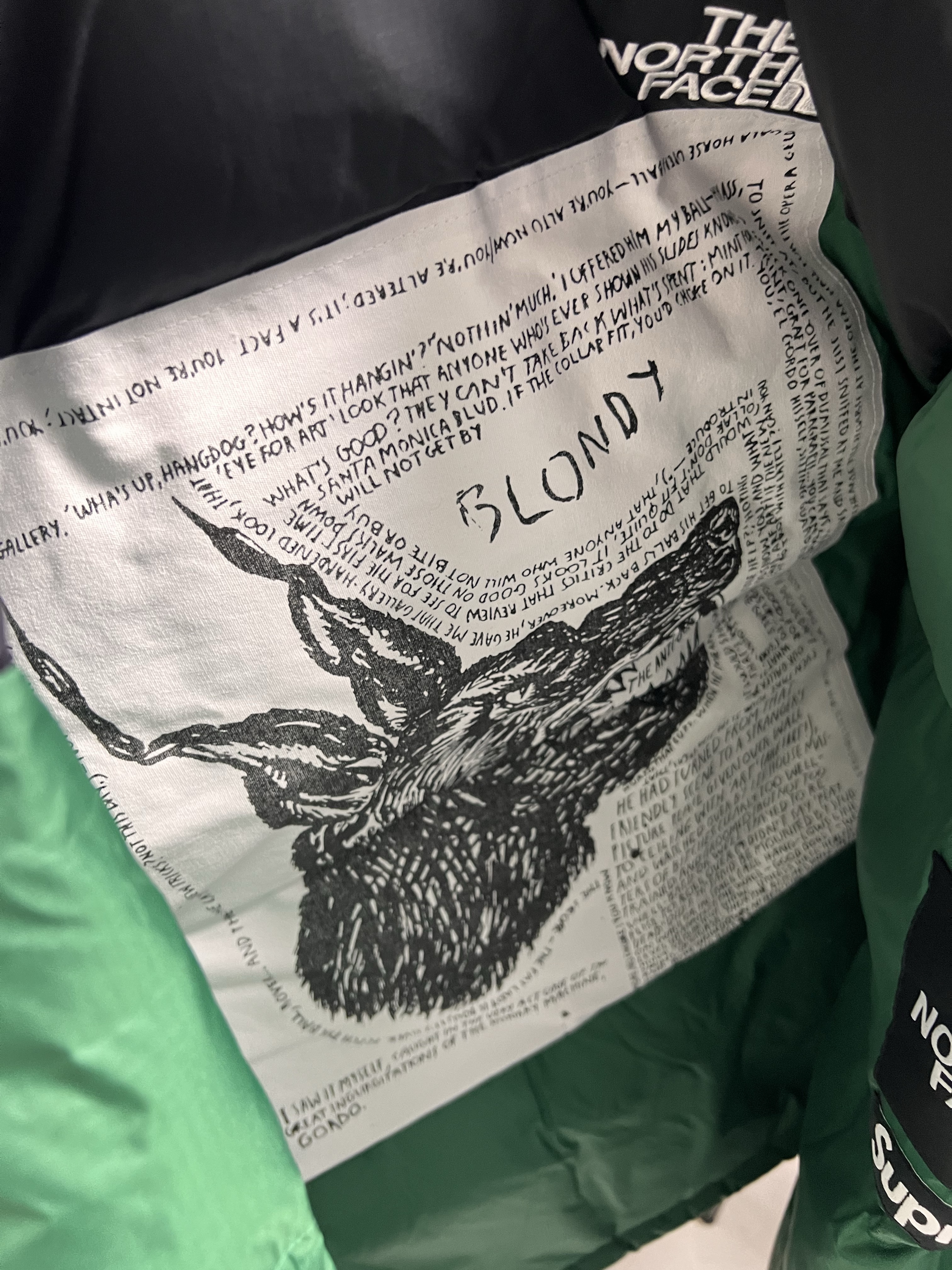 Supreme x The North Face Nuptse Jacket Green - 24FW 착용 스타일 - 2