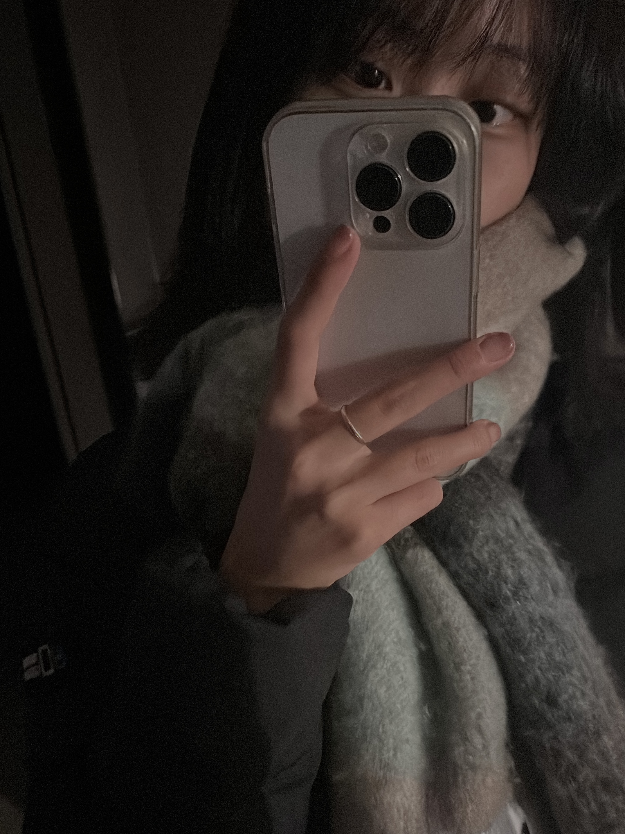 Acne Studios Mohair Check Muffler Grey Green Black 착용 스타일