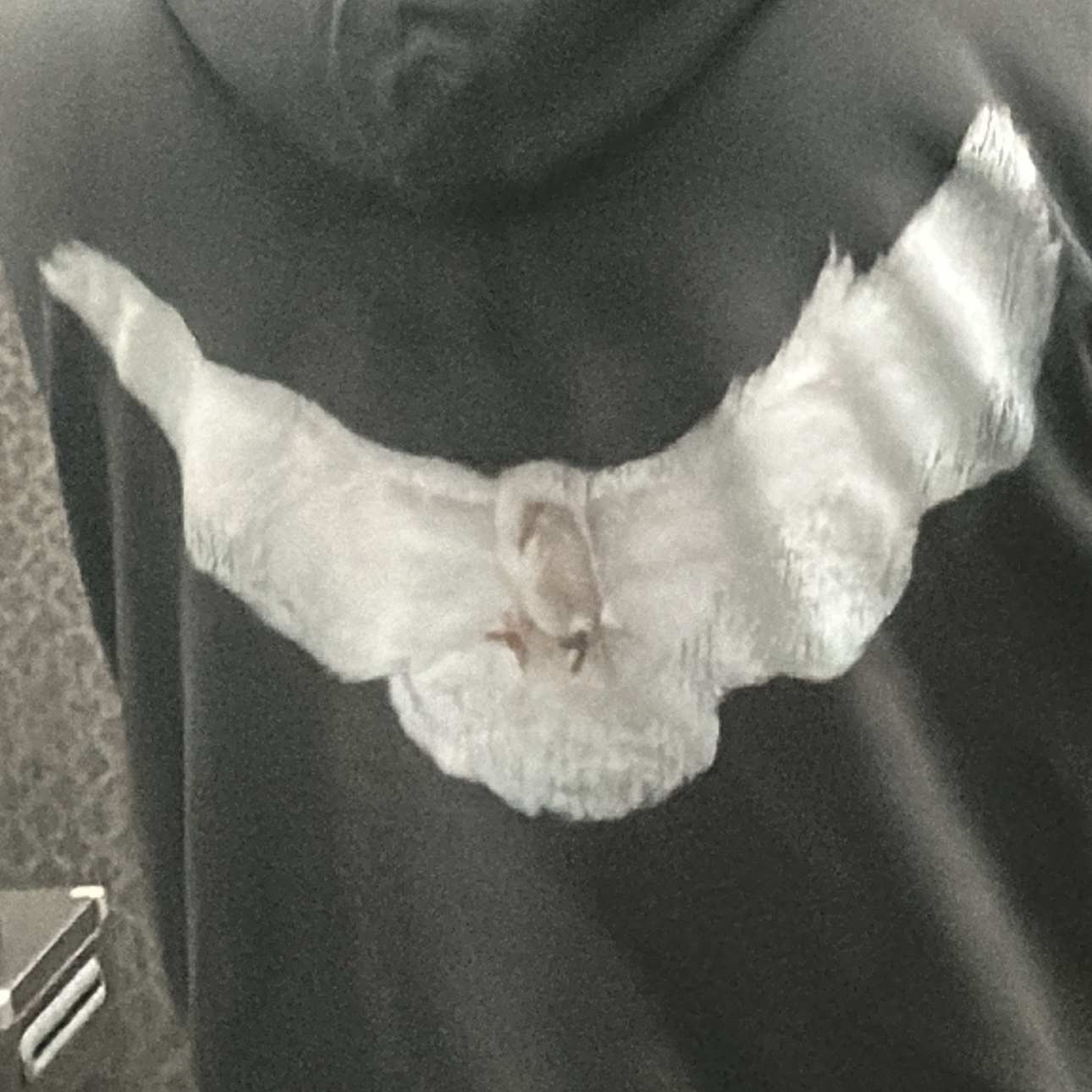 Yeezy Gap Engineered By Balenciaga Dove Hoodie Black 착용 스타일