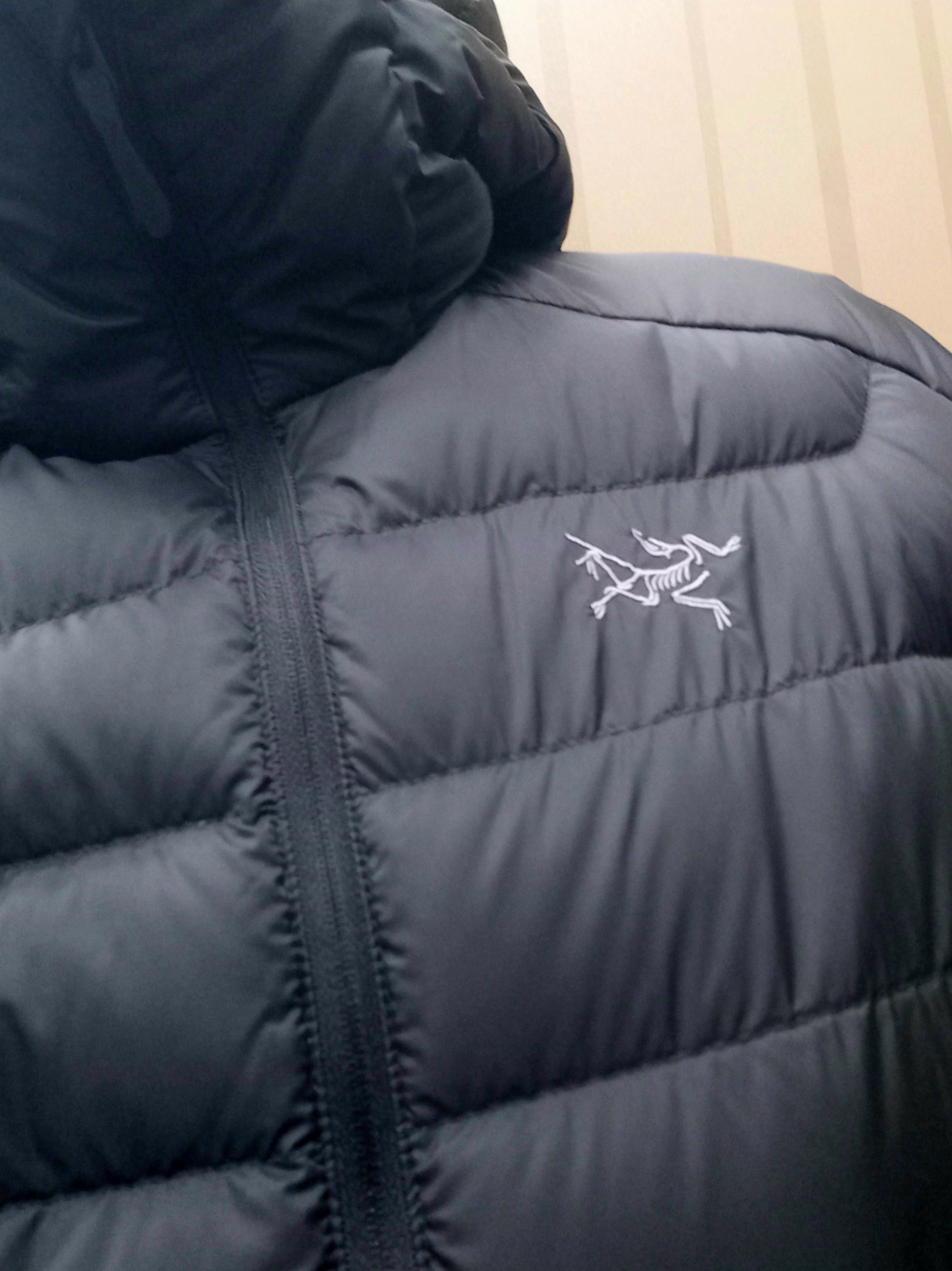 Arc'teryx Cerium Hoody Black, Arc'teryx Cerium Hoody Black 착용 스타일 - 7
