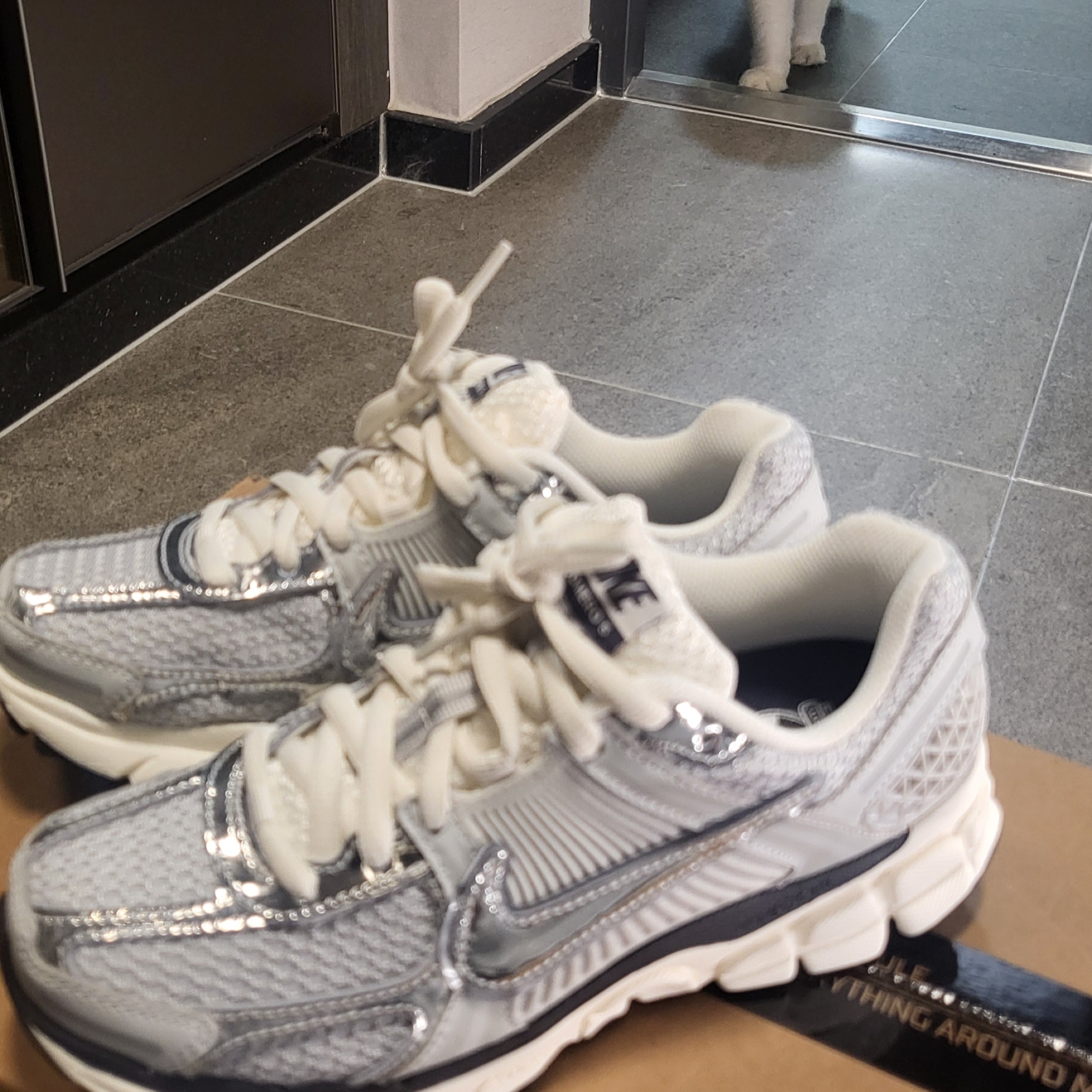 (W) Nike Zoom Vomero 5 Photon Dust and Metallic Silver 착용 스타일