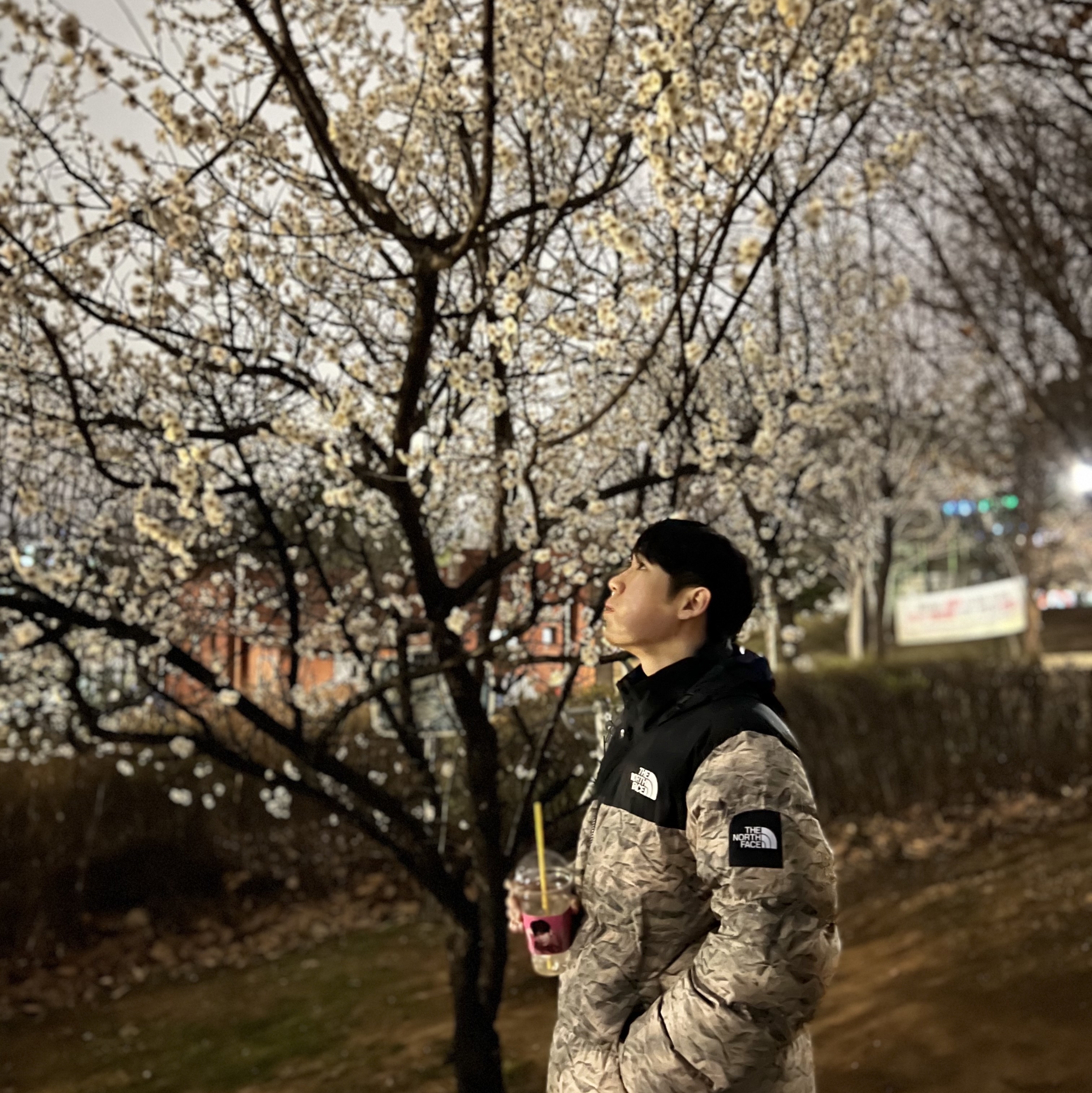 The North Face White Label Novelty Nuptse Down Jacket Beige 착용 스타일