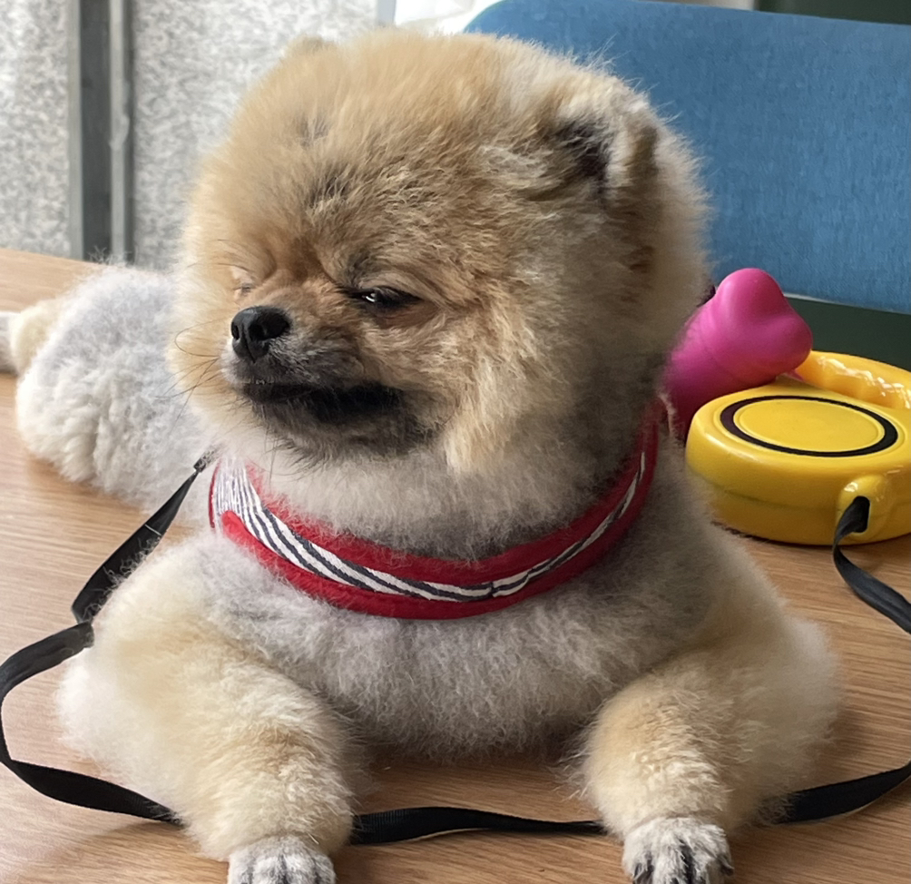 KREAM 프로필 이미지