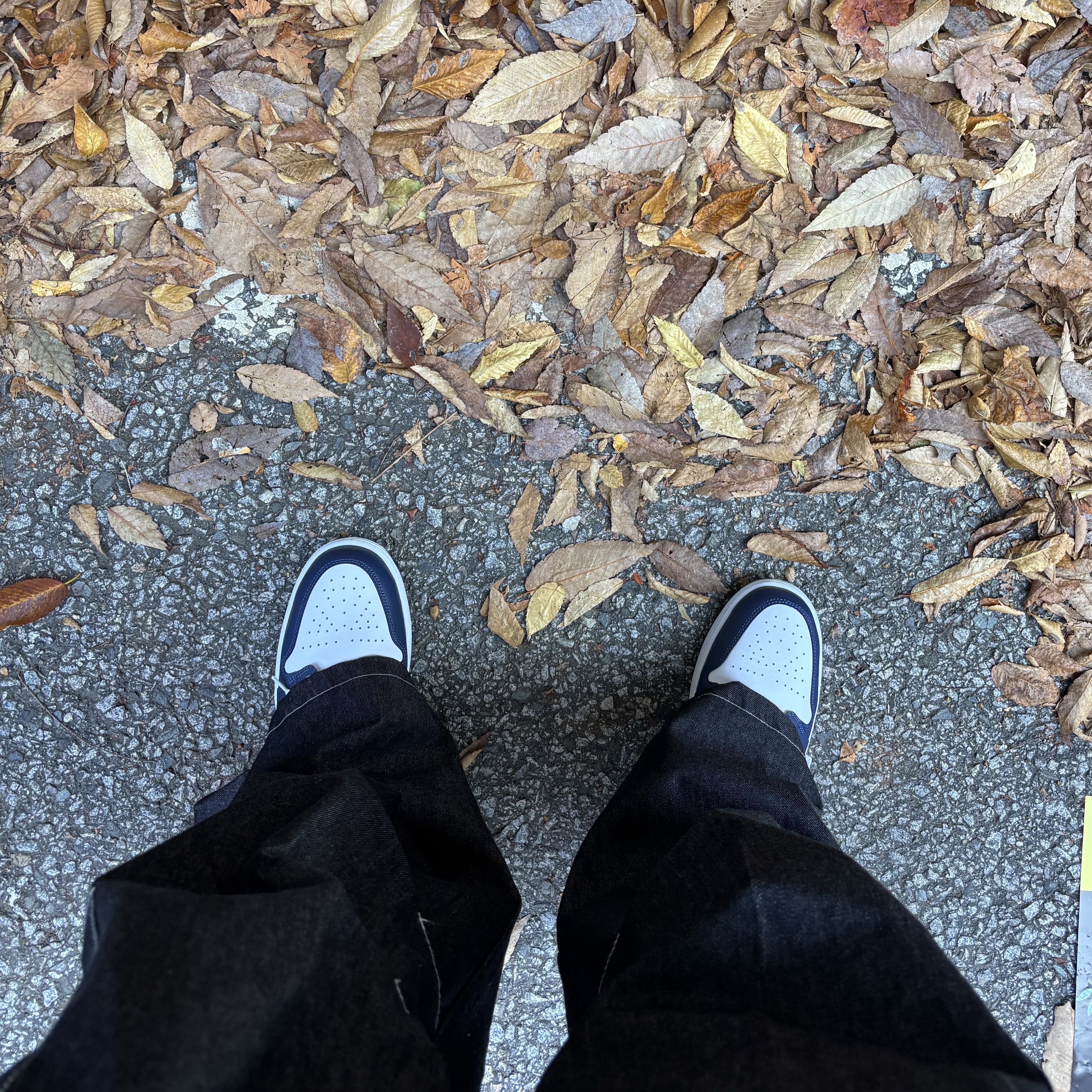 Jordan 1 Low White Midnight Navy 착용 스타일