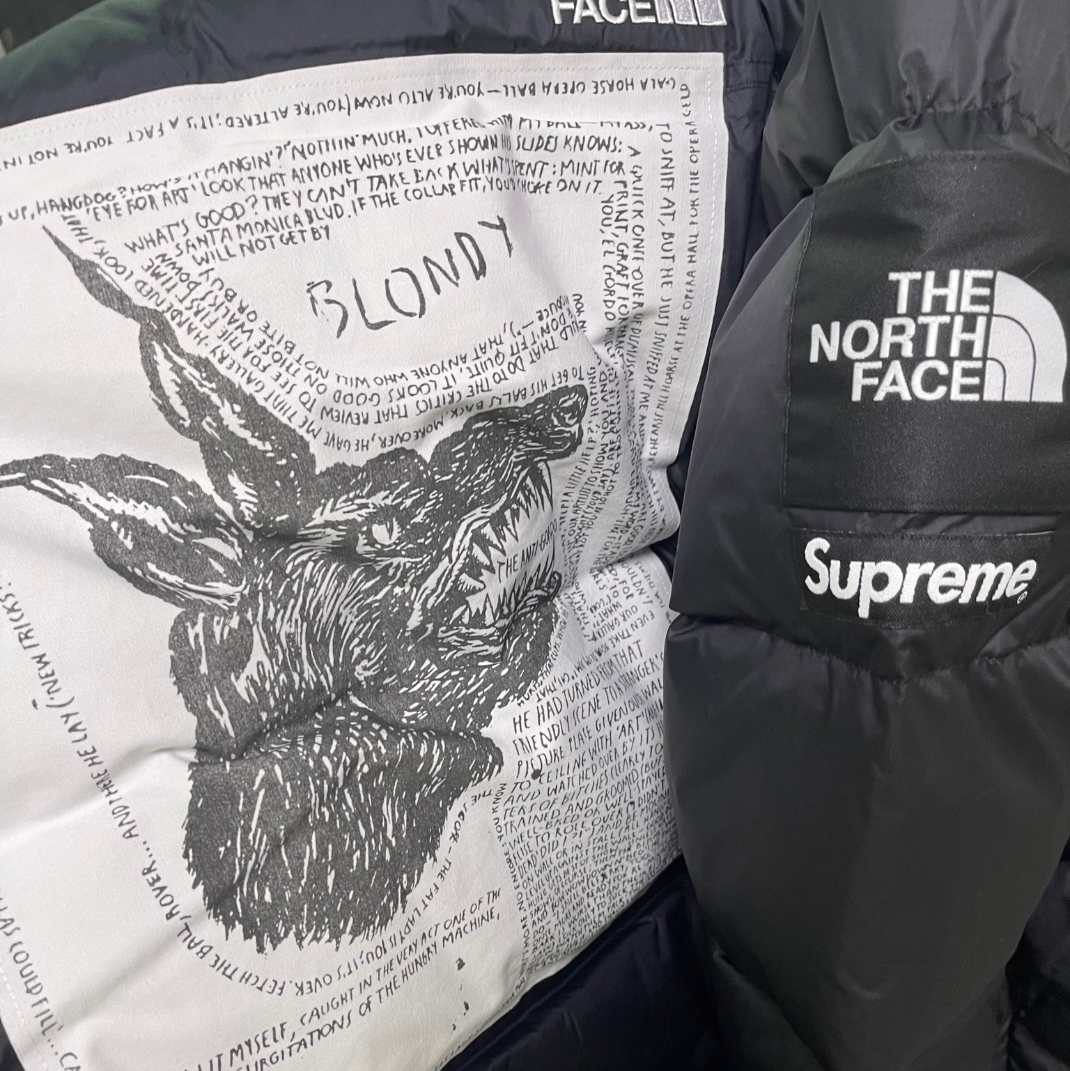 Supreme x The North Face Nuptse Jacket Black - 24FW 착용 스타일