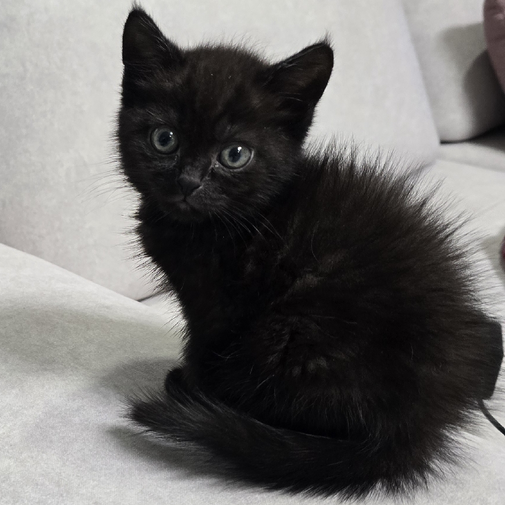 관심 유저 프로필 이미지