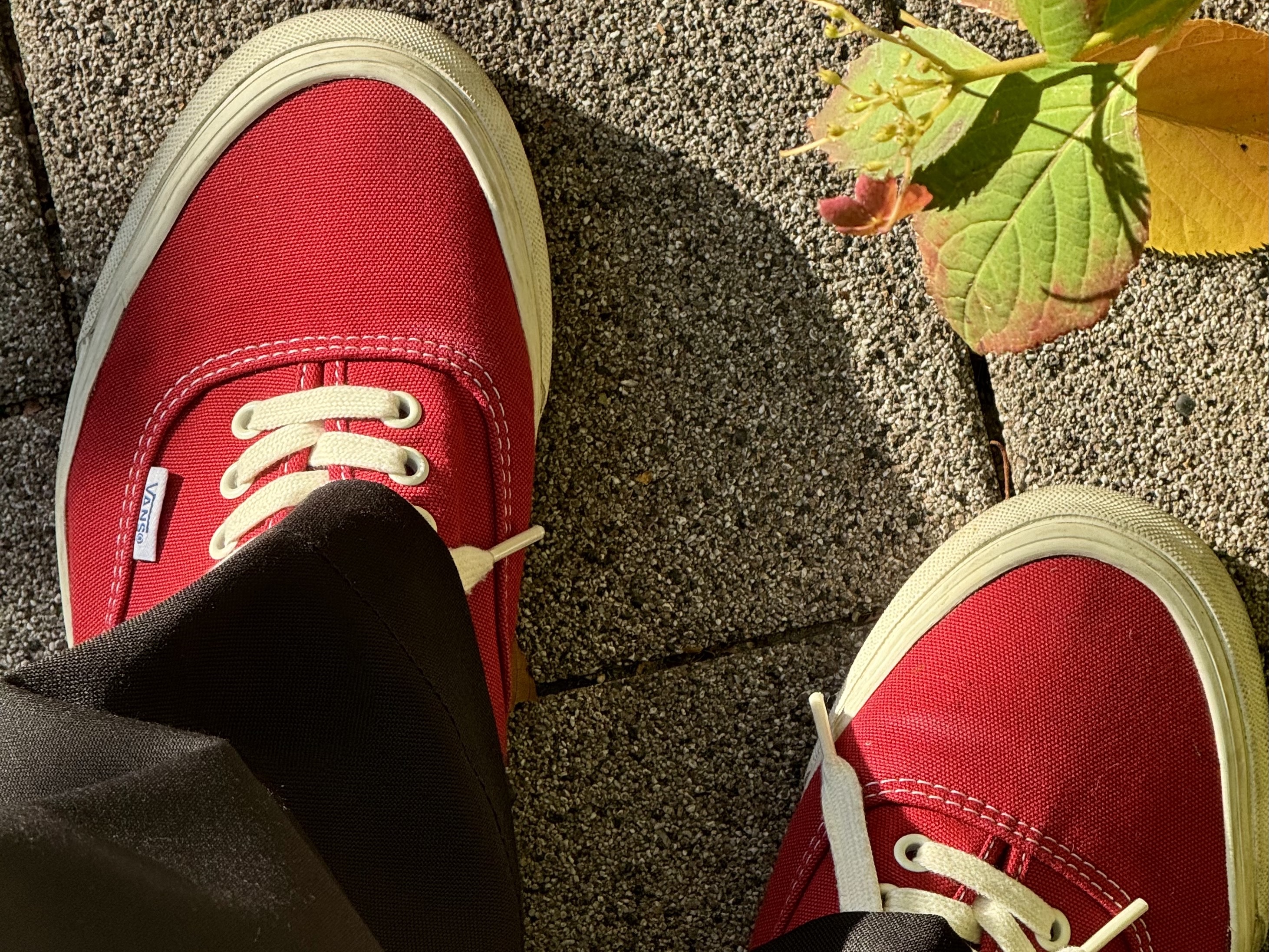 Vans Vault OG Authentic LX Chili Pepper Red, Vans Vault OG Authentic LX Black 착용 스타일 - 2