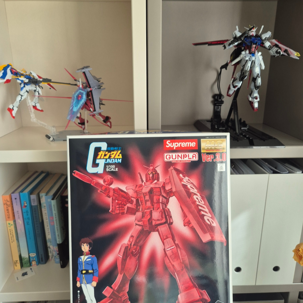 Supreme MG 1/100 RX-78-2 Gundam Ver. 3.0 착용 스타일