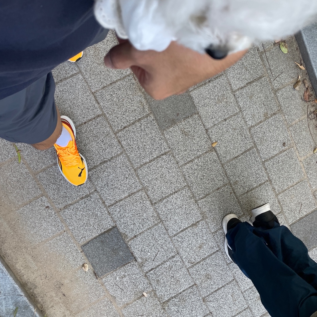 Puma Deviate Nitro 3 Fade Sun Stream Sunset Glow 착용 스타일