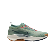 Nike Pegasus Trail 5 Gore-Tex Jade Horizon Bicoastal