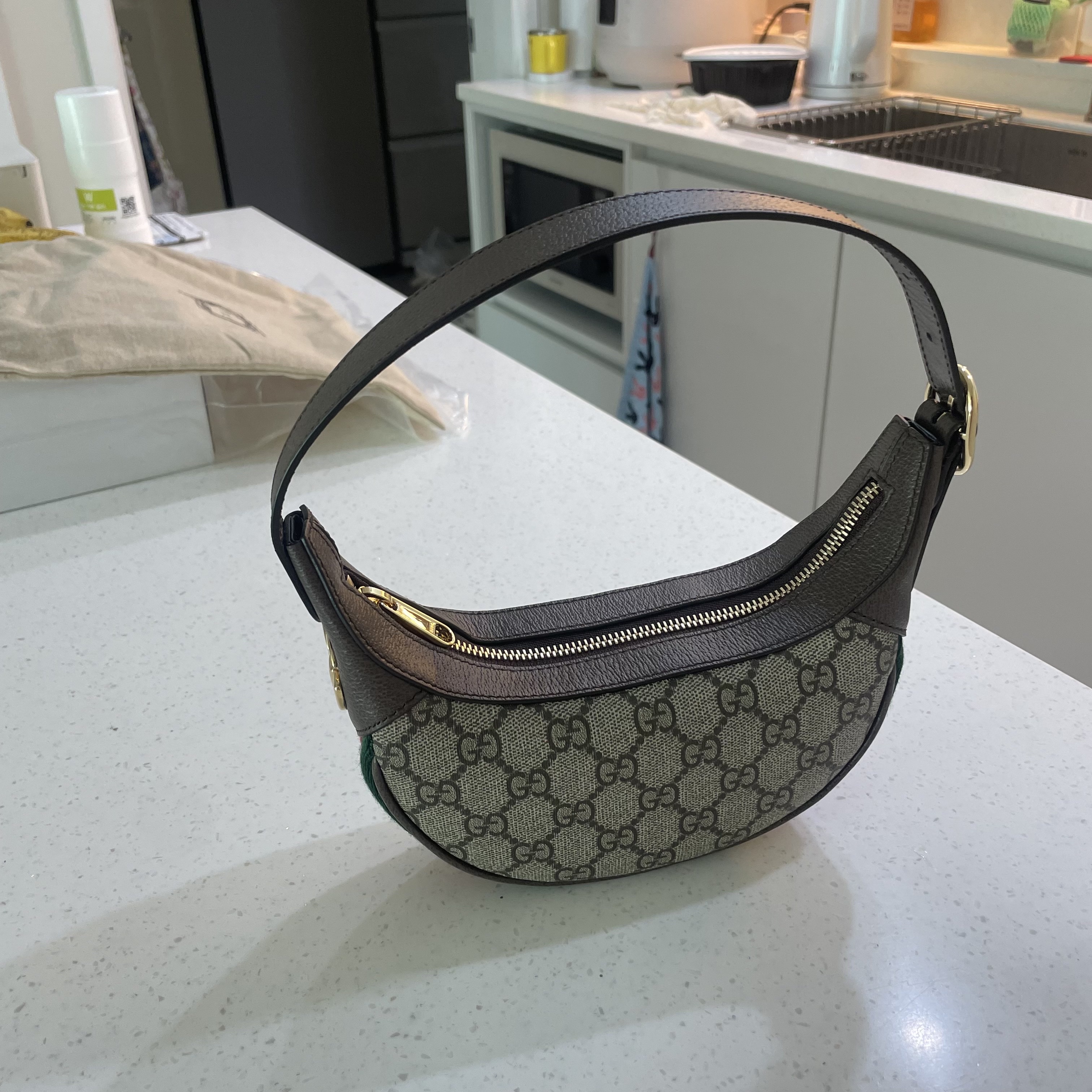 Gucci Ophidia GG Mini Bag Beige Ebony 착용 스타일 - 1