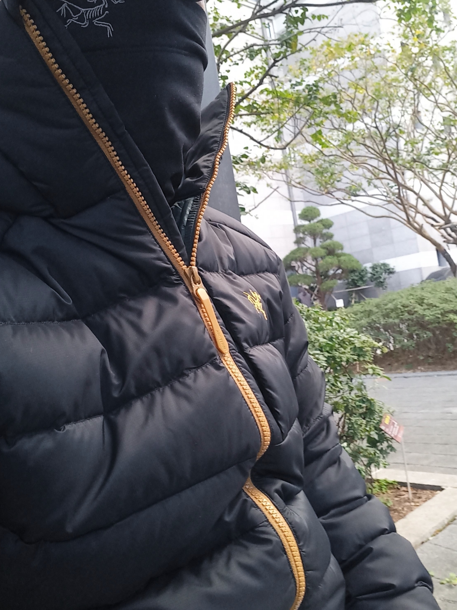Arc'teryx Thorium Hoody Dark Magic, Arc'teryx Small Bird Cap Black 착용 스타일 - 3