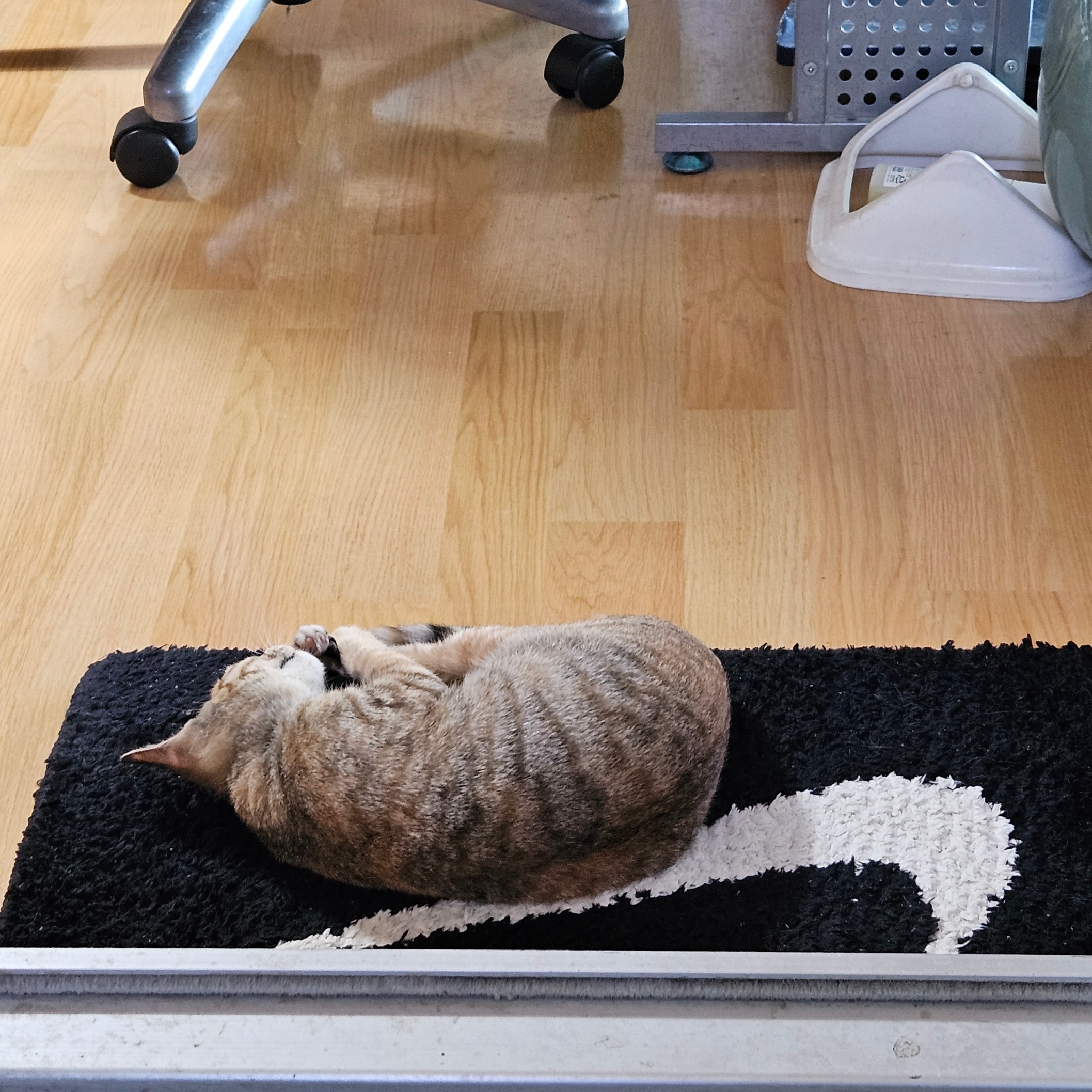 Nike Swoosh Rug Black White 착용 스타일 - 1