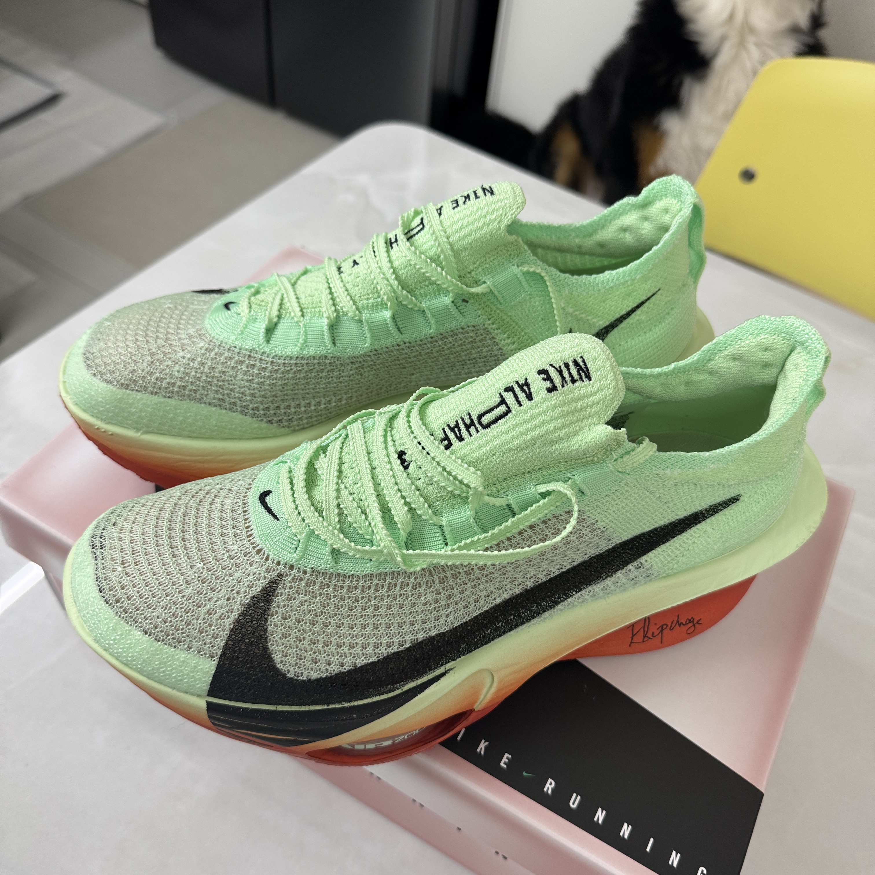 Nike Air Zoom Alphafly Next% 3 Eliud Kipchoge 착용 스타일 - 3