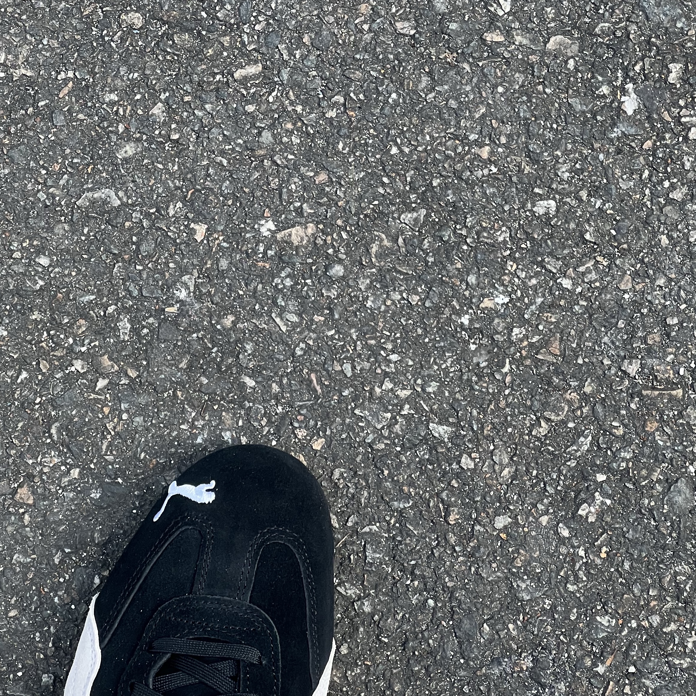 Puma Speedcat OG Black White 착용 스타일