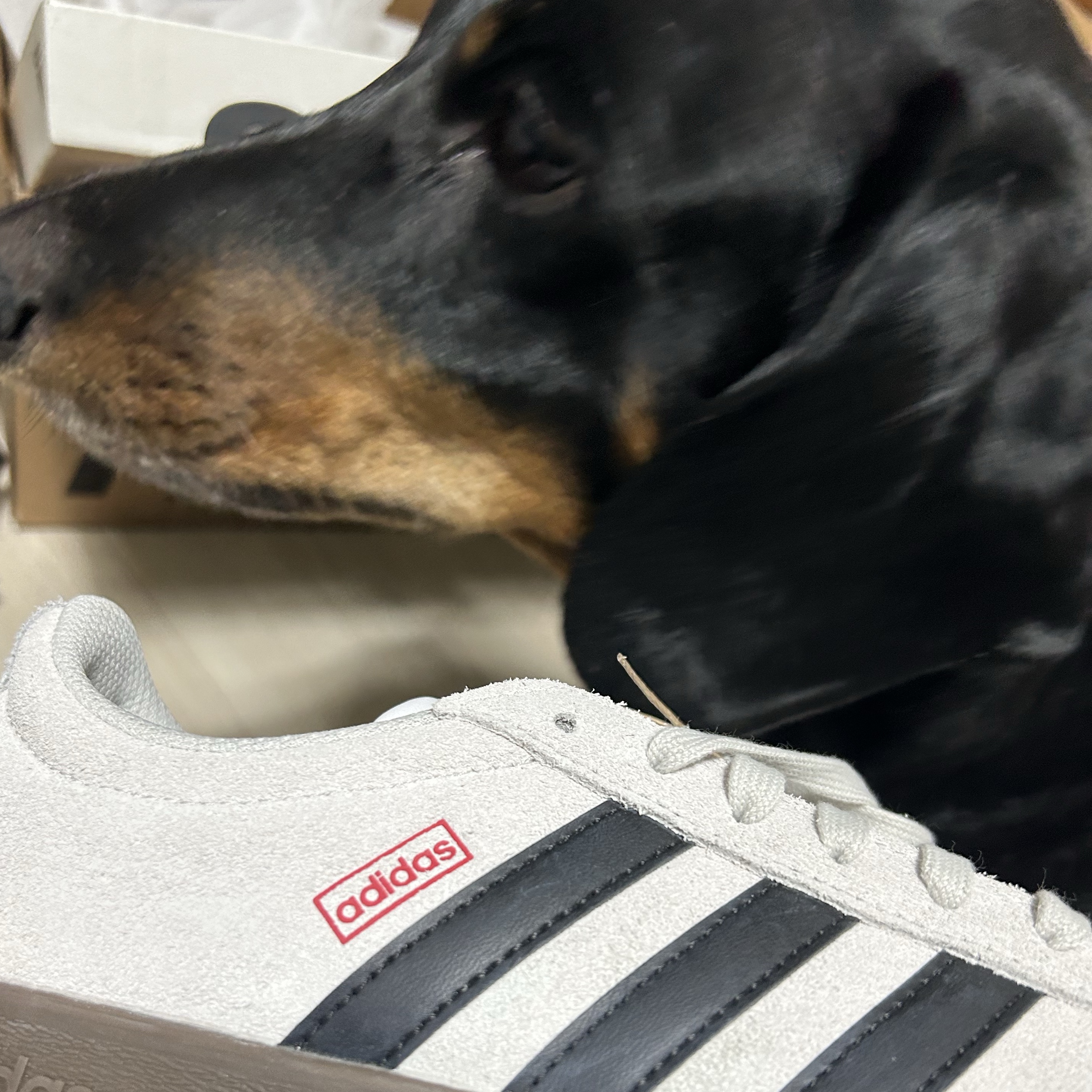 Adidas VL Court 2.0 Grey Black 착용 스타일 - 3
