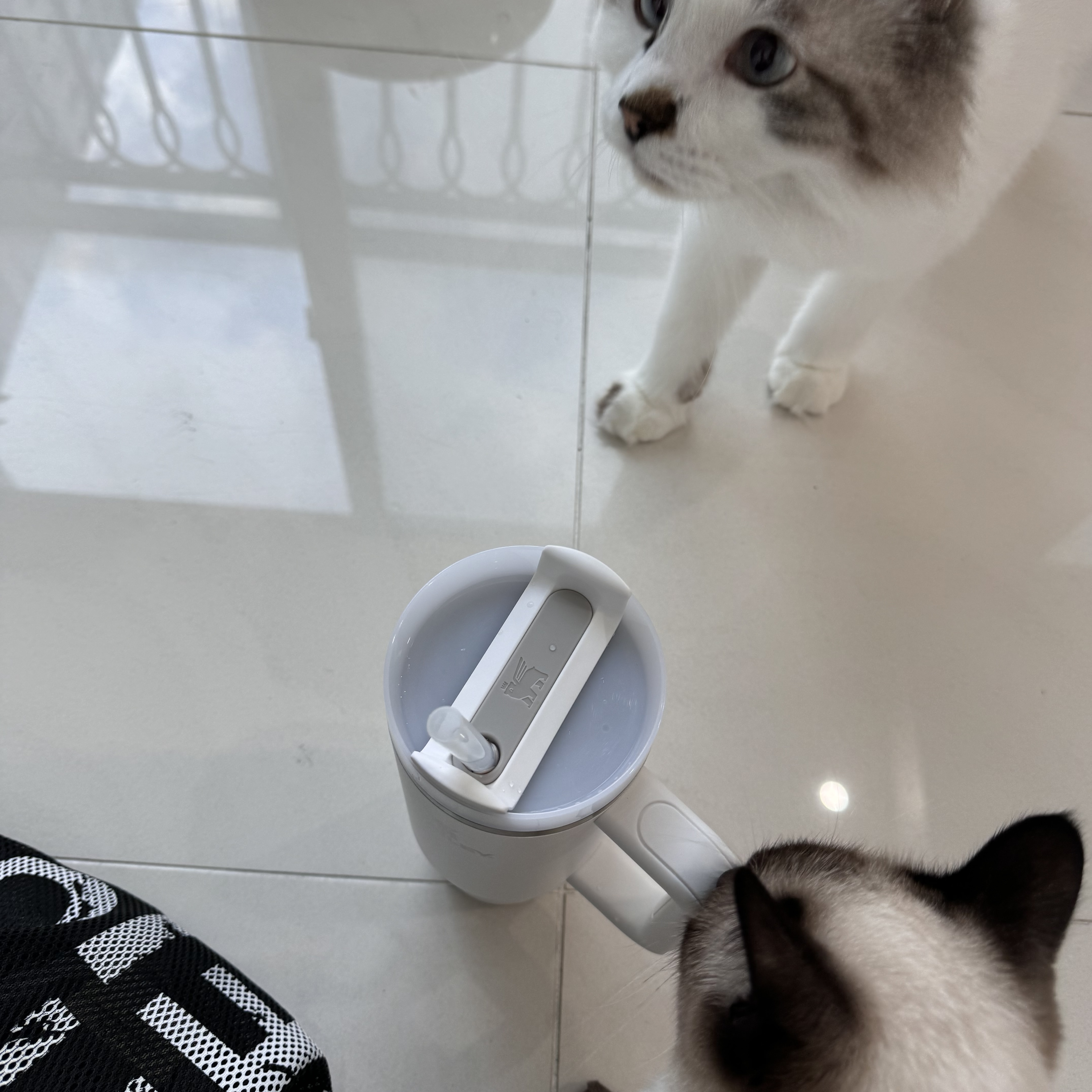 Stanley The Quencher H2.0 Flowstate Tumbler 887ml Frost 착용 스타일