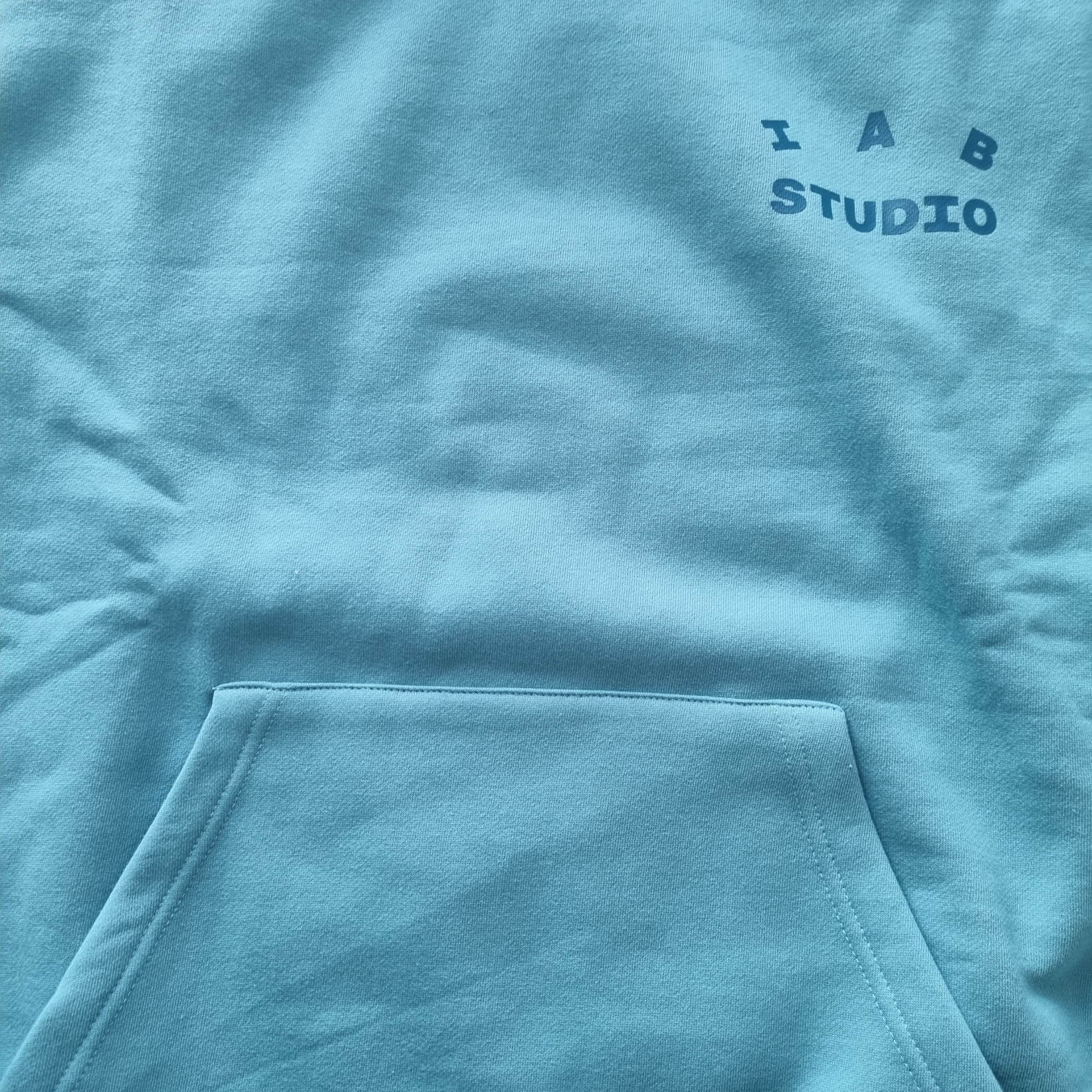 IAB Studio x Delicious in Dungeon Marcille Layerd Hoodie Blue 착용 스타일