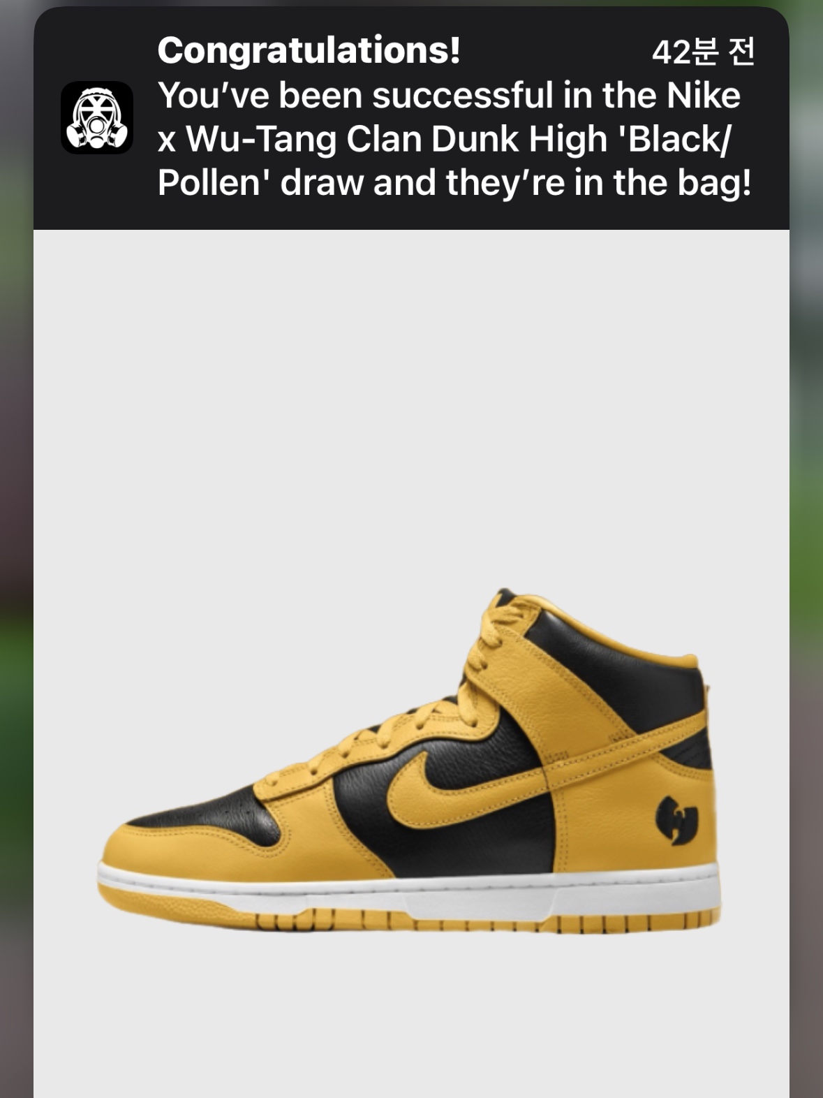 Nike Wu-Tang Clan Dunk High Black and Pollen, Nike x Nigo Varsity Jacket Speed Yellow (FV5670-735) 착용 스타일 - 1