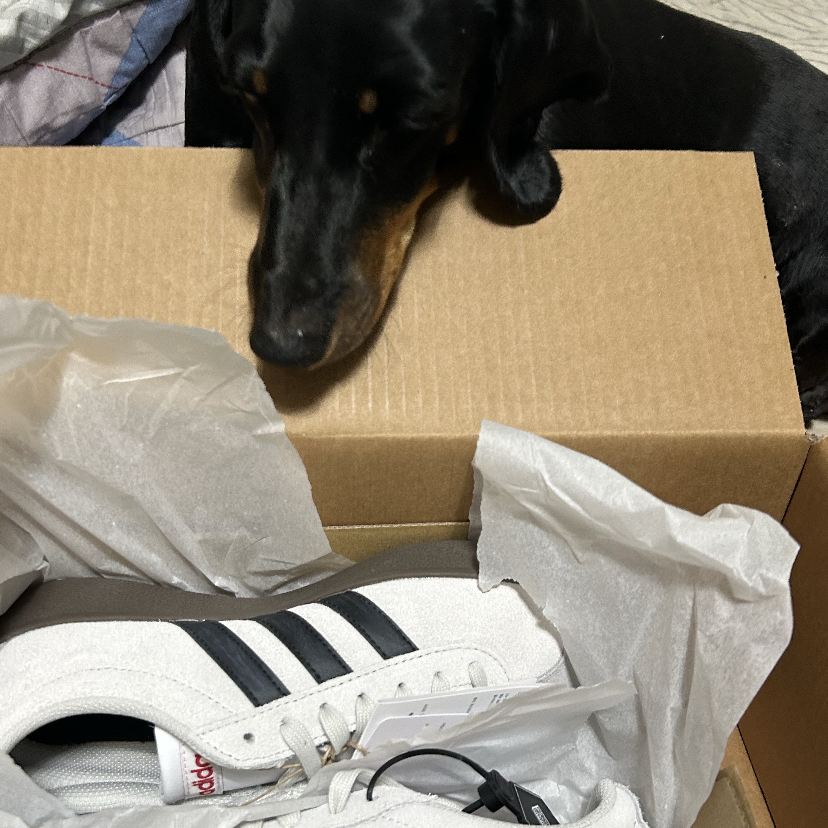 Adidas VL Court 2.0 Grey Black 착용 스타일 - 1